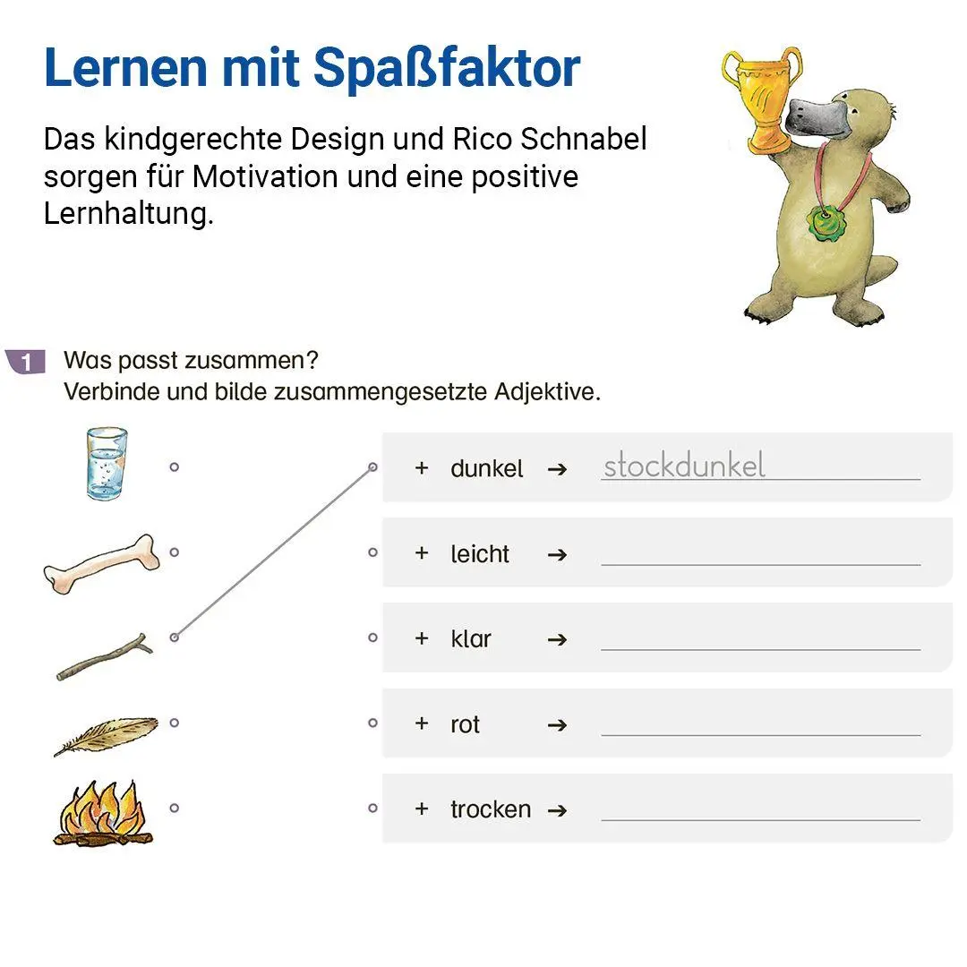 Bild: 9783619620418 | Grammatik mit Rico Schnabel, Klasse 6 | Stefanie Drecktrah (u. a.)