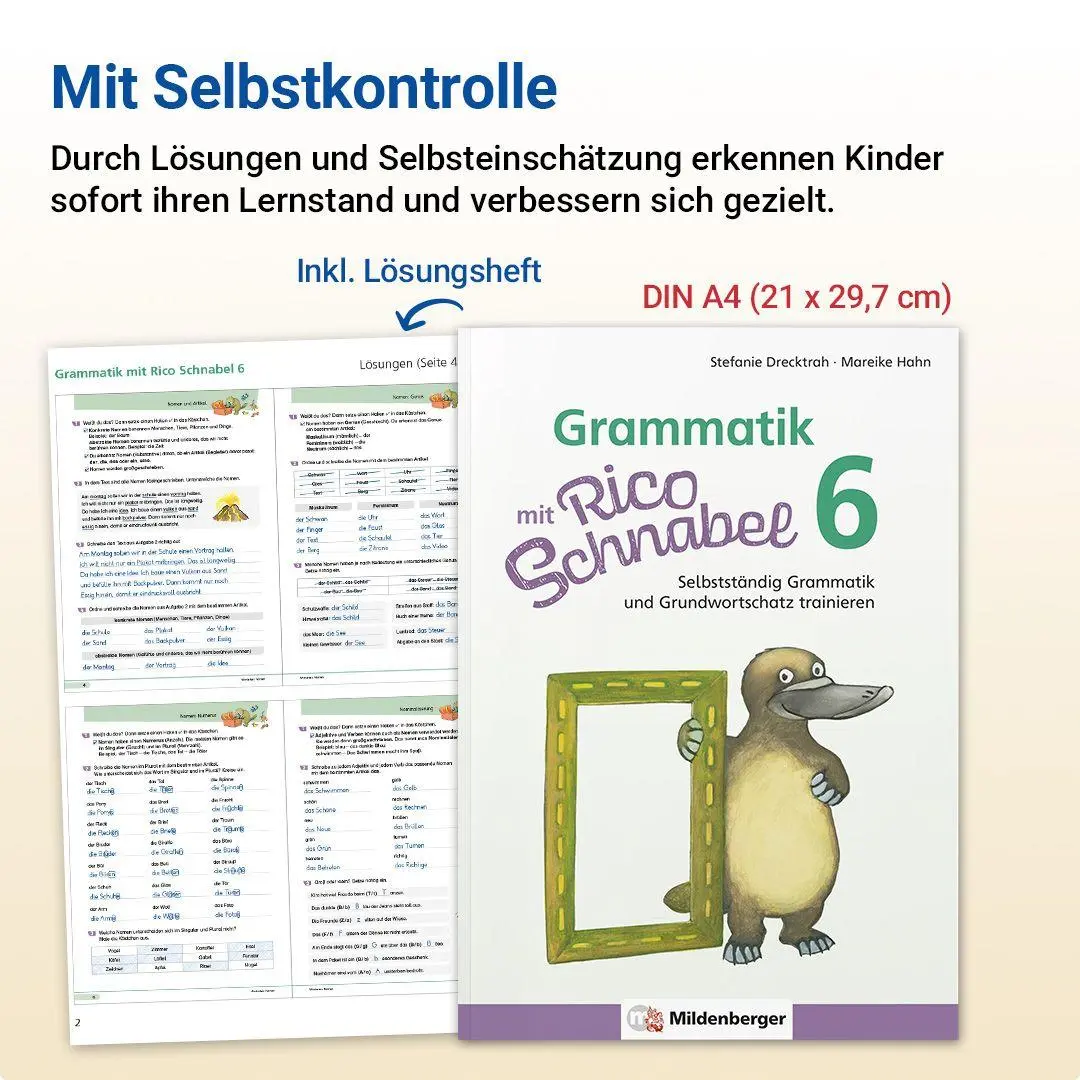 Bild: 9783619620418 | Grammatik mit Rico Schnabel, Klasse 6 | Stefanie Drecktrah (u. a.)
