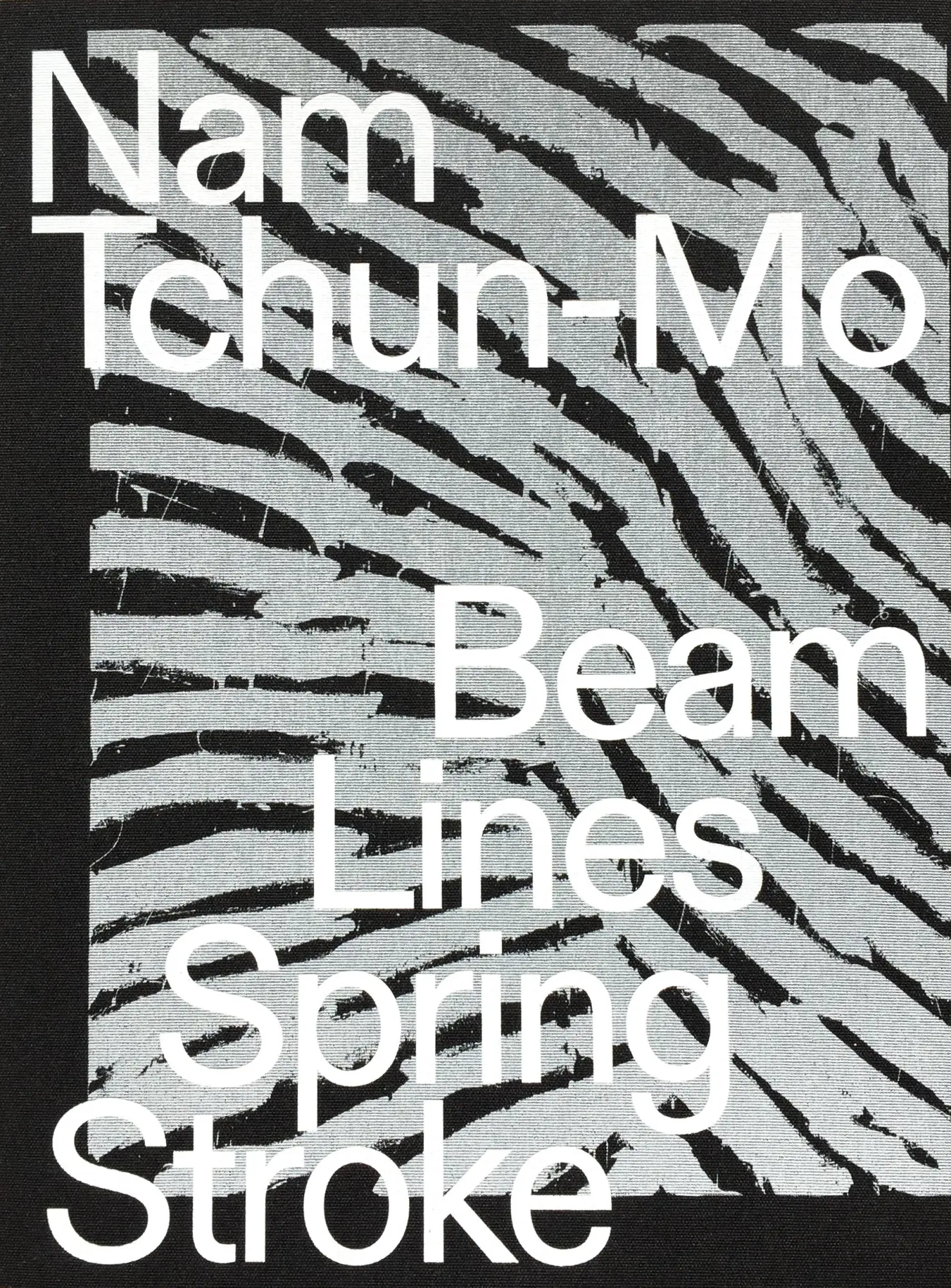 Cover: 9783960700418 | Nam Tchun-Mo | Beam Lines Spring Stroke, Dt/engl/frz | Tchun-Mo | Buch