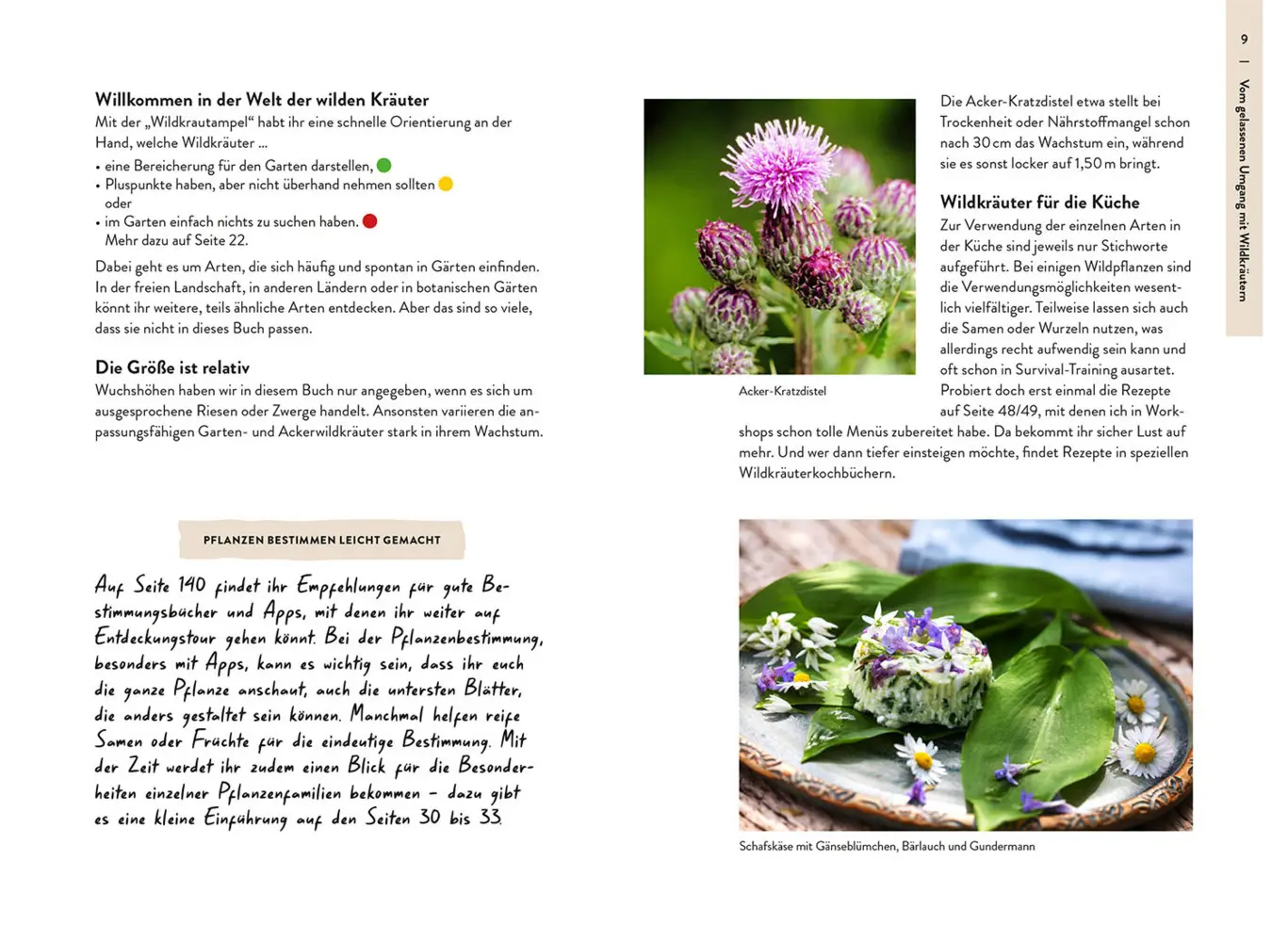 Bild: 9783440180518 | Garden Guide Wildkrautampel | Jutta Over | Taschenbuch | 144 S. | 2025
