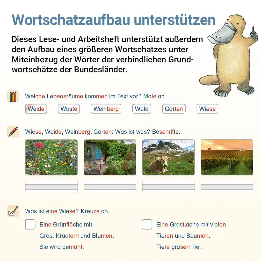 Bild: 9783619220618 | Lesen mit Rico Schnabel, Heft 8: Texte - silbierte Ausgabe | Broschüre