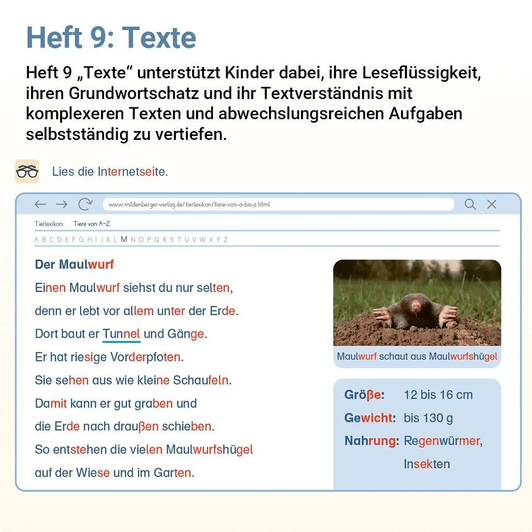 Bild: 9783619220618 | Lesen mit Rico Schnabel, Heft 8: Texte - silbierte Ausgabe | Broschüre