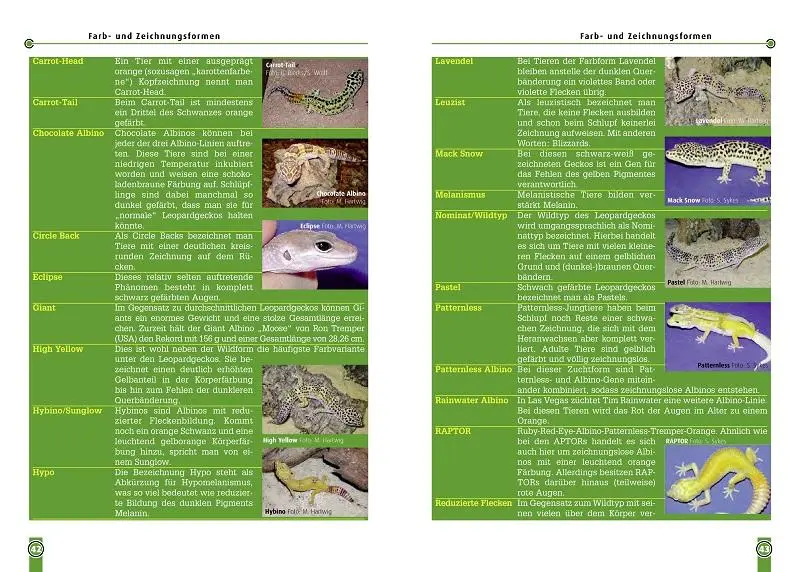 Bild: 9783866590618 | Der Leopardgecko - Eublepharis Macularius | Melanie Hartwig | Buch