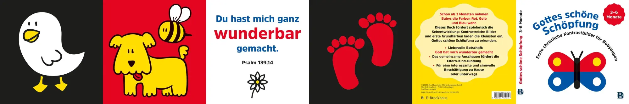 Bild: 9783417010718 | Gottes schöne Schöpfung | Buch | 12 S. | Deutsch | 2026 | R.Brockhaus