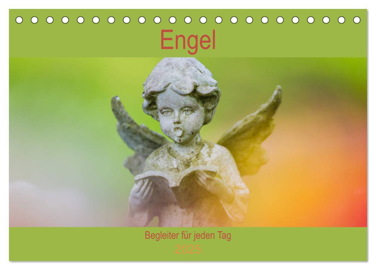 Cover: 9783435370818 | Engel - Begleiter für jeden Tag (Tischkalender 2025 DIN A5 quer),...