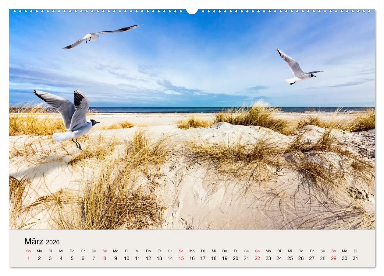 Bild: 9783457840818 | STRANDLUST: Fischland-Darß-Zingst (Wandkalender 2026 DIN A2 quer),...