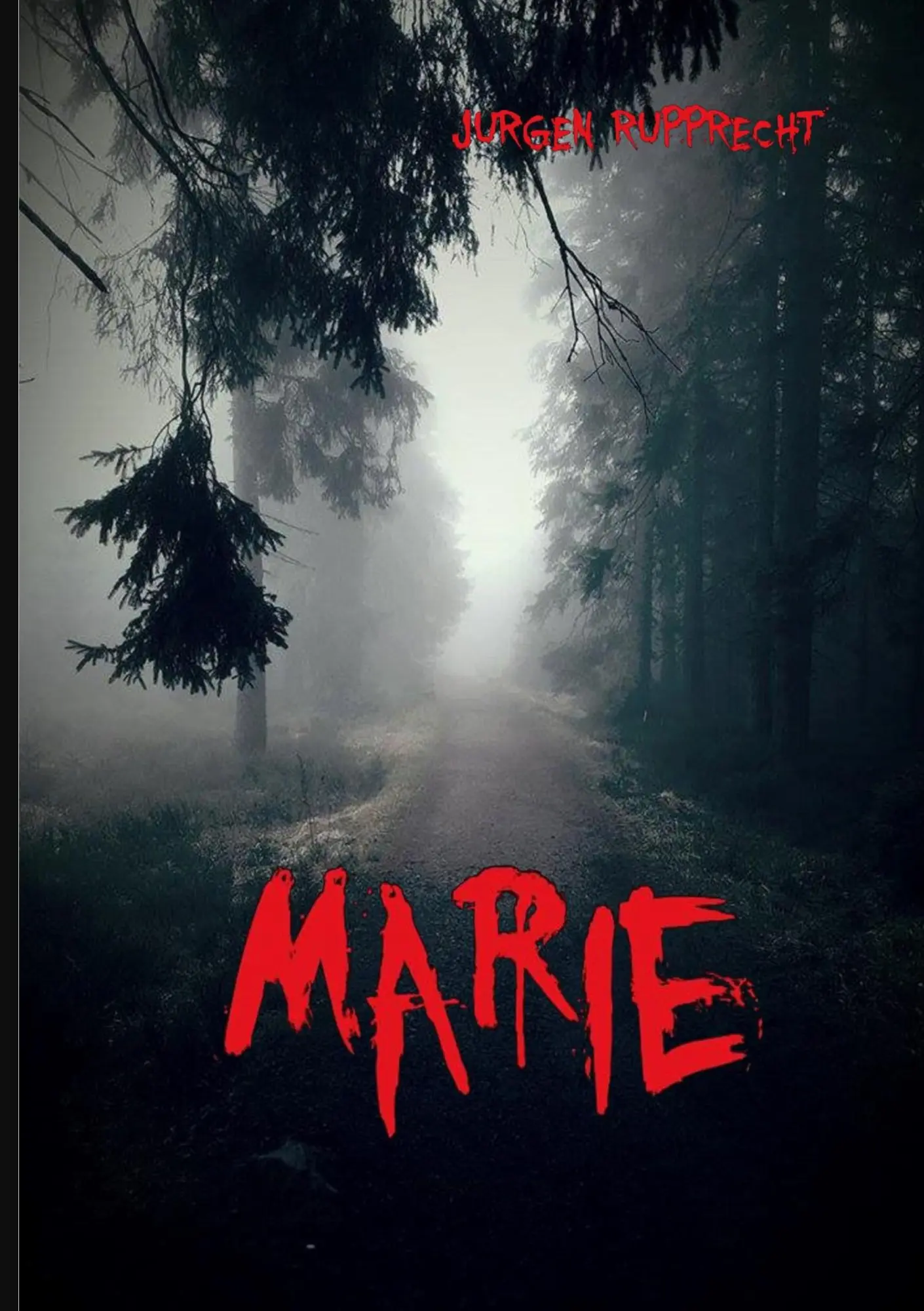 Cover: 9783748140818 | Marie | Jürgen Rupprecht | Taschenbuch | 200 S. | Deutsch | 2018