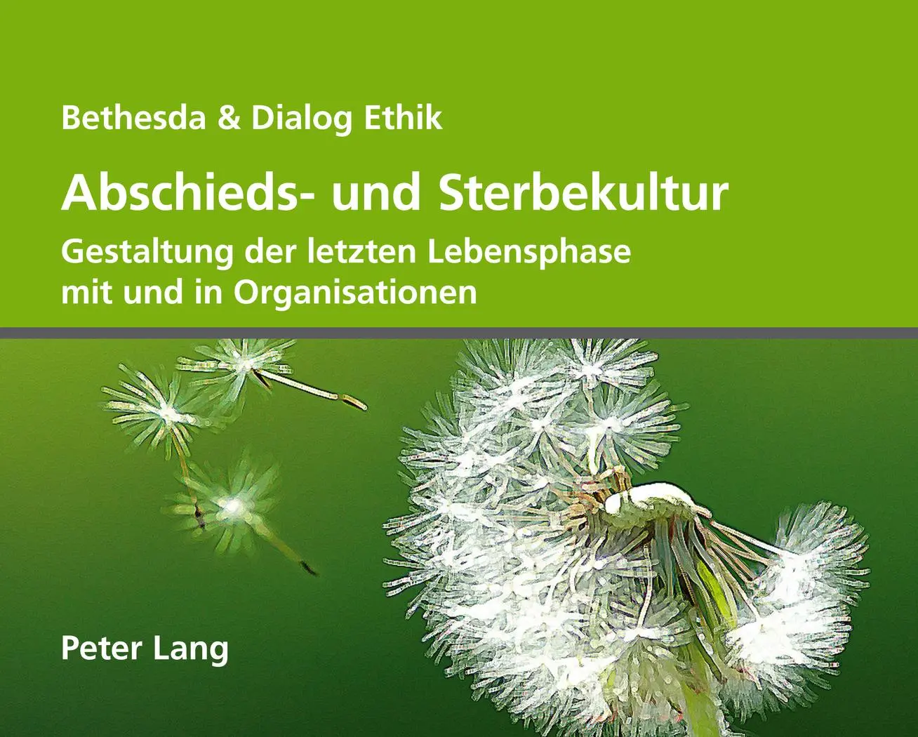 Cover: 9783034310918 | Abschieds- und Sterbekultur | Ruth Baumann-Hölzle | Buch | 176 S.