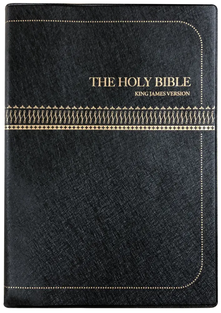 Cover: 9783438081018 | The Bible (King James Version) | Traditionelle Übersetzung | Buch