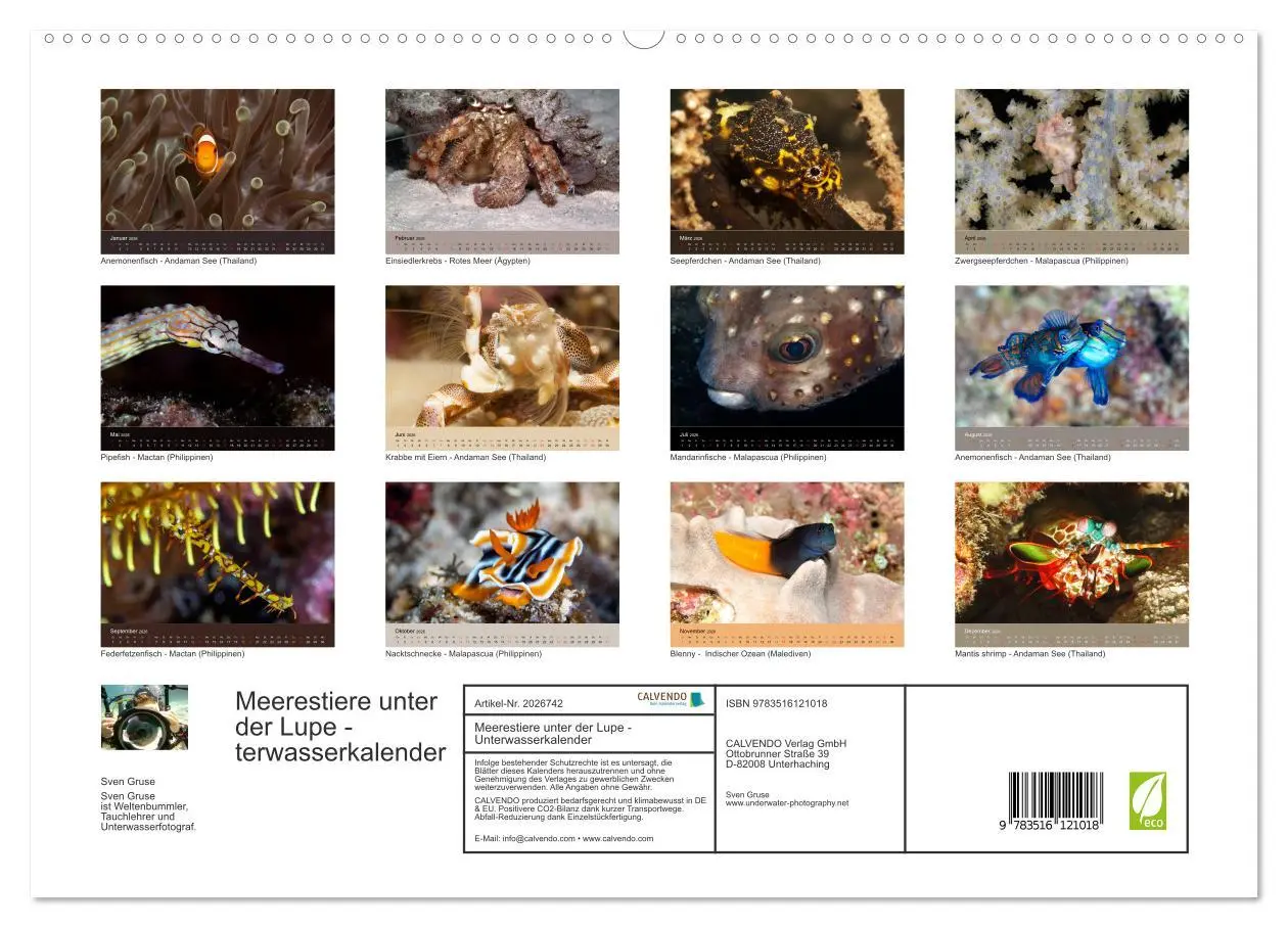 Bild: 9783516121018 | Meerestiere unter der Lupe - Unterwasserkalender (Wandkalender 2026...