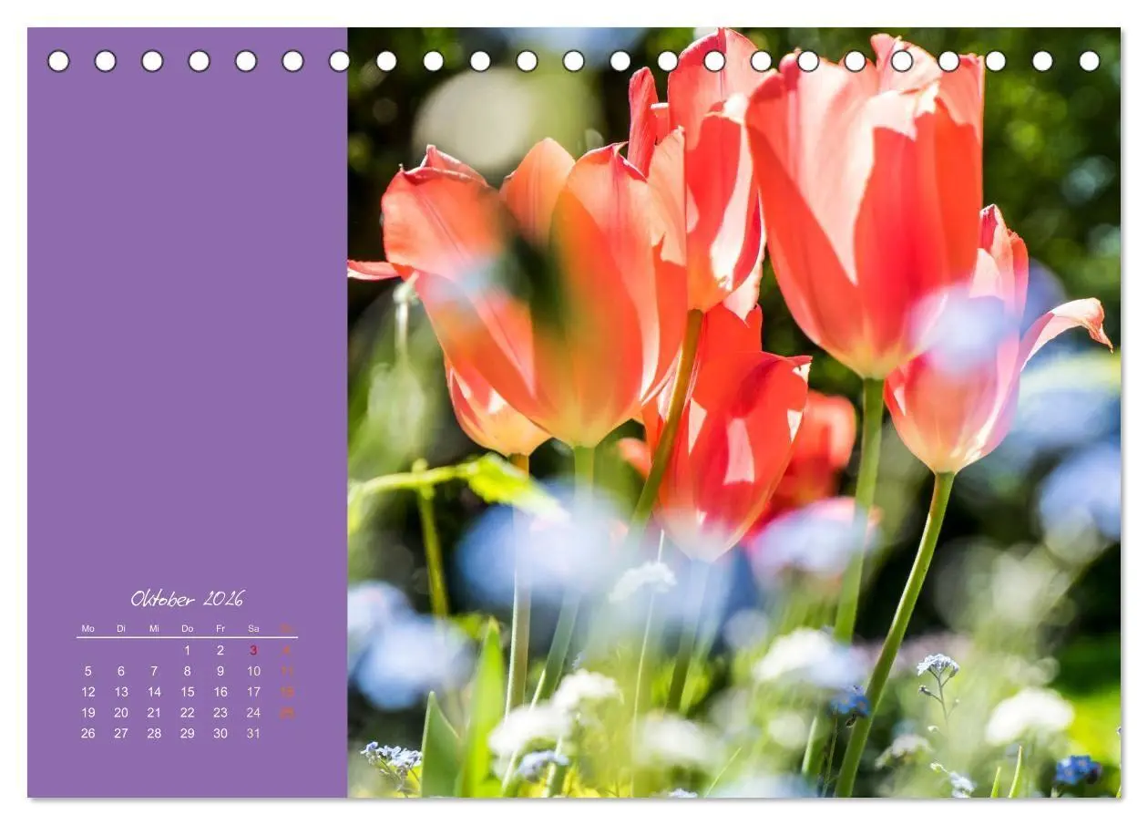 Bild: 9783516671018 | Blütenstil (Tischkalender 2026 DIN A5 quer), CALVENDO Monatskalender