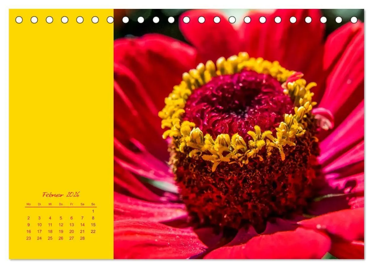 Bild: 9783516671018 | Blütenstil (Tischkalender 2026 DIN A5 quer), CALVENDO Monatskalender