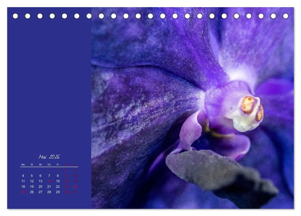 Bild: 9783516671018 | Blütenstil (Tischkalender 2026 DIN A5 quer), CALVENDO Monatskalender