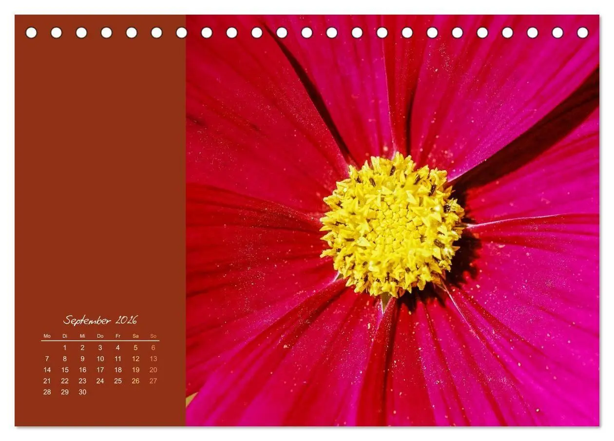 Bild: 9783516671018 | Blütenstil (Tischkalender 2026 DIN A5 quer), CALVENDO Monatskalender