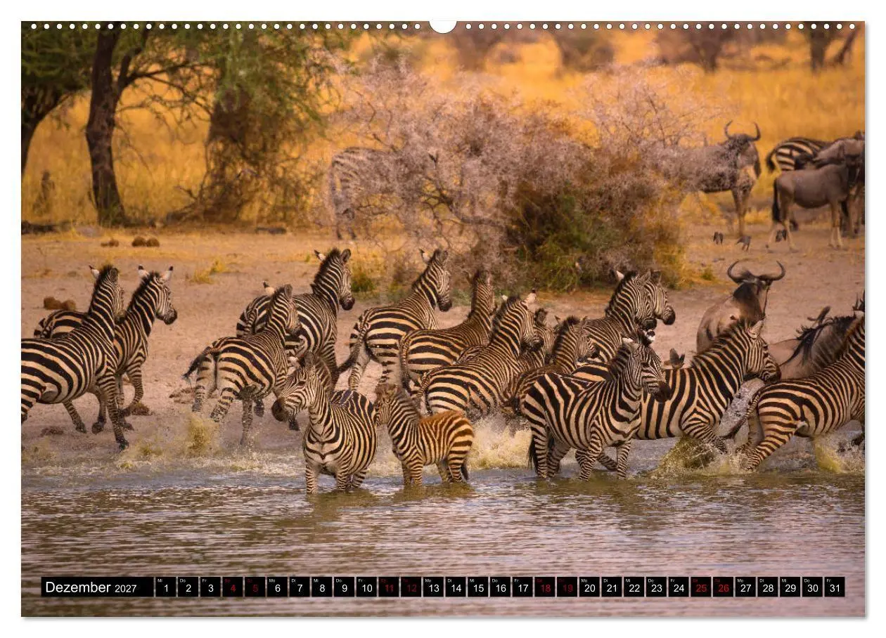 Bild: 9783569761018 | Tansania - Tierwanderung in der Serengeti (Wandkalender 2027 DIN A2...