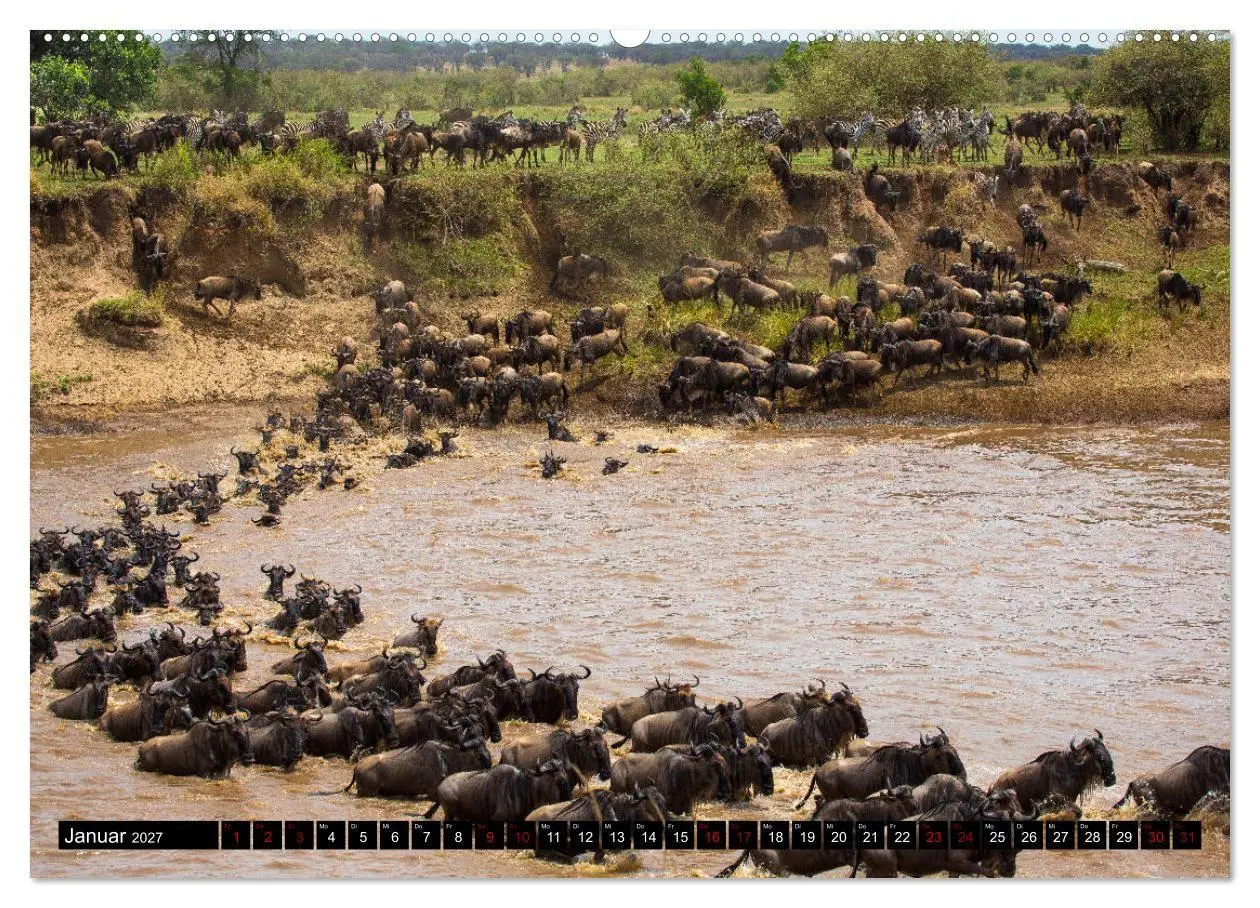 Bild: 9783569761018 | Tansania - Tierwanderung in der Serengeti (Wandkalender 2027 DIN A2...