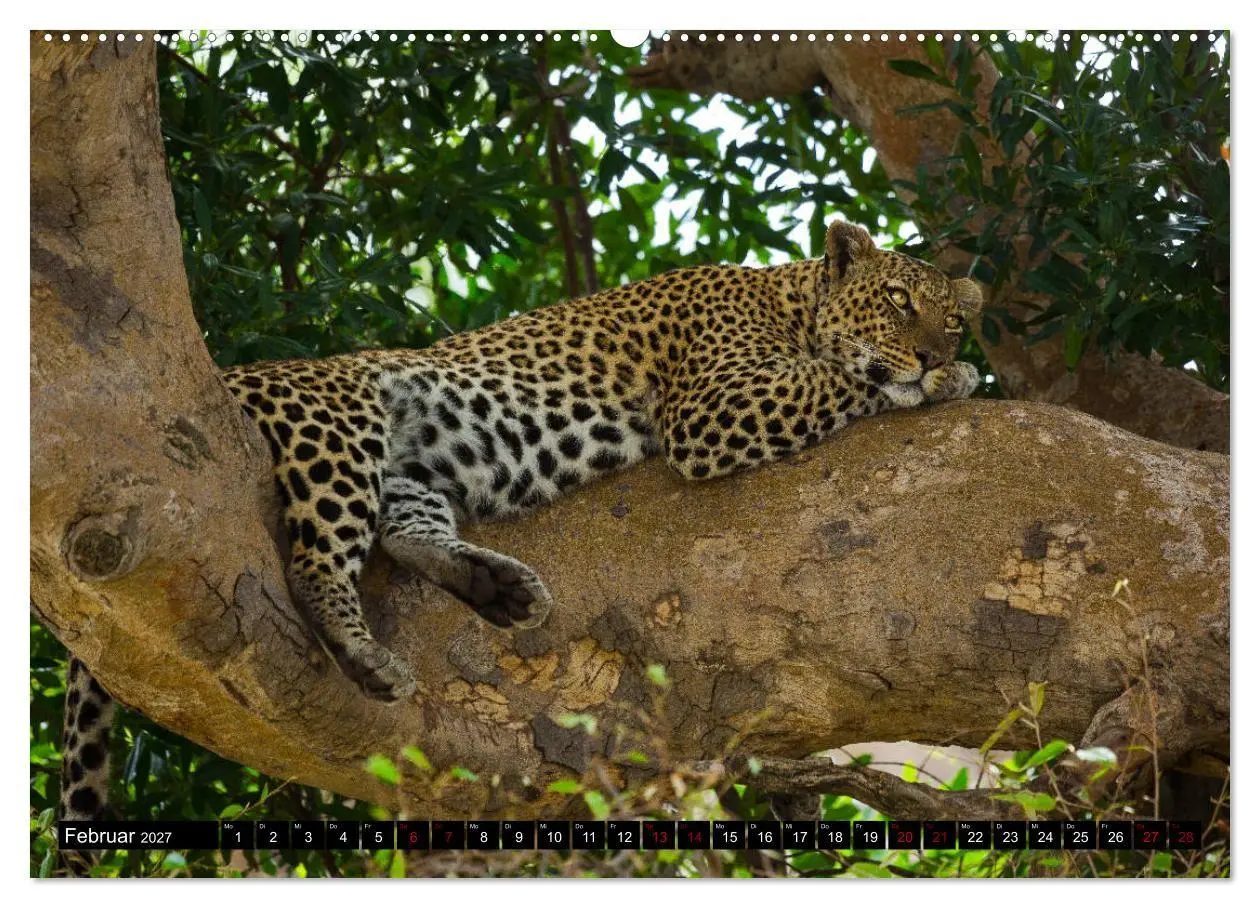 Bild: 9783569761018 | Tansania - Tierwanderung in der Serengeti (Wandkalender 2027 DIN A2...