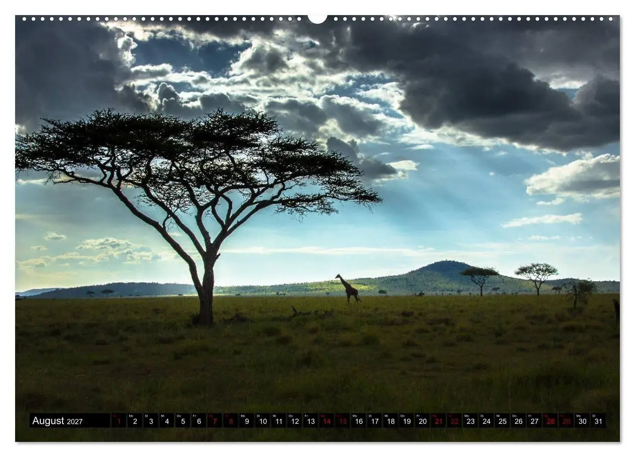 Bild: 9783569761018 | Tansania - Tierwanderung in der Serengeti (Wandkalender 2027 DIN A2...