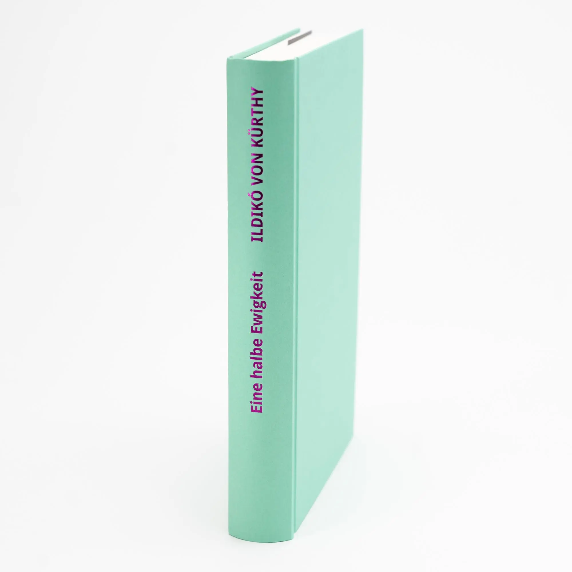 Bild: 9783805201018 | Eine halbe Ewigkeit | Ildikó von Kürthy | Buch | 320 S. | Deutsch