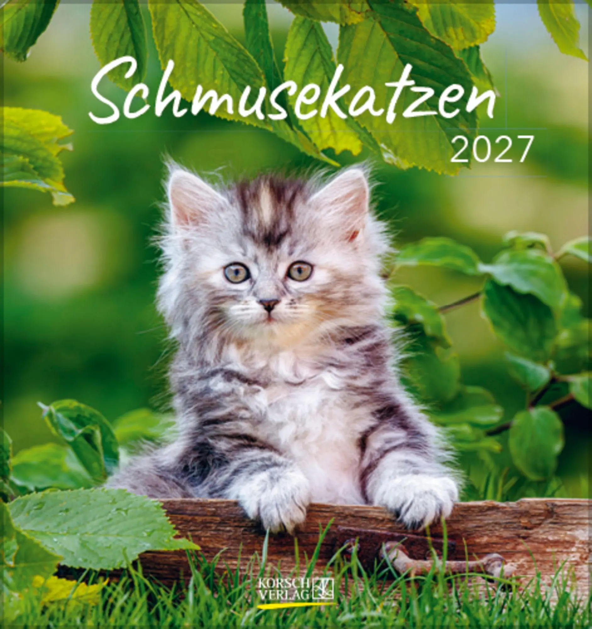 Cover: 9783819301018 | Schmusekatzen 2027 | aufstellbarer Postkartenkalender | Verlag Korsch