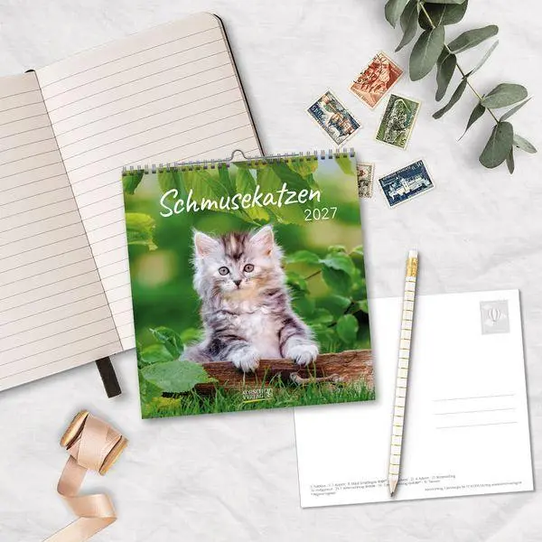 Bild: 9783819301018 | Schmusekatzen 2027 | aufstellbarer Postkartenkalender | Verlag Korsch