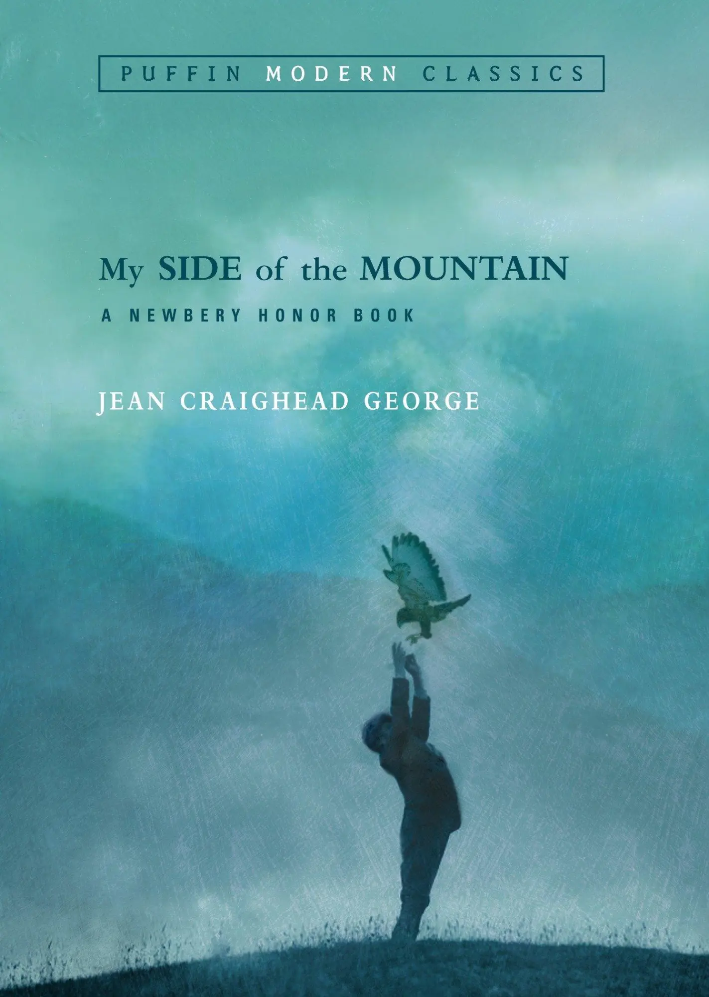 Cover: 9780142401118 | My Side of the Mountain (Puffin Modern Classics) | George | Buch