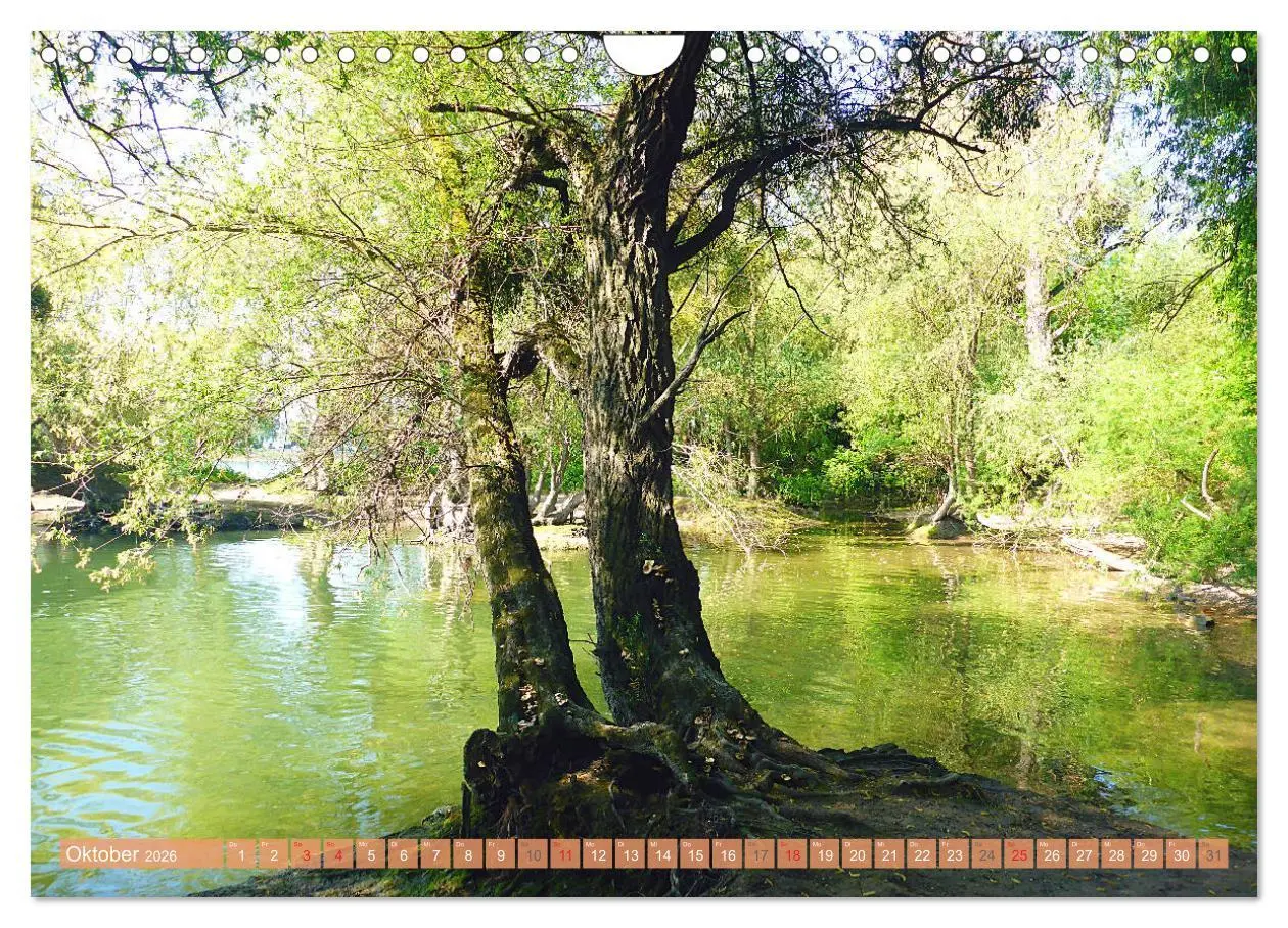 Bild: 9783516041118 | Mannheim - Stadt im Quadrat (Wandkalender 2026 DIN A4 quer),...
