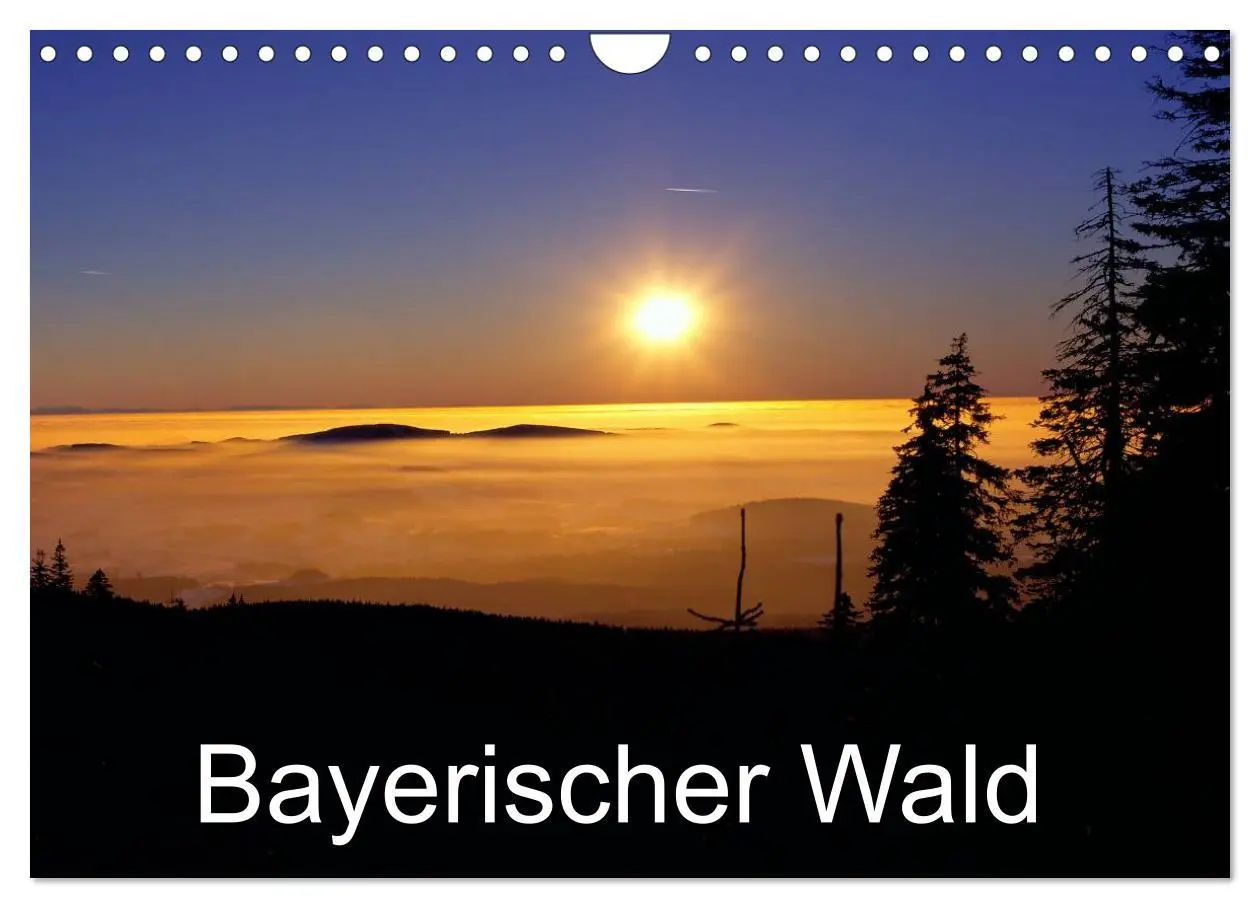 Cover: 9783516111118 | Bayerischer Wald (Wandkalender 2026 DIN A4 quer), CALVENDO...
