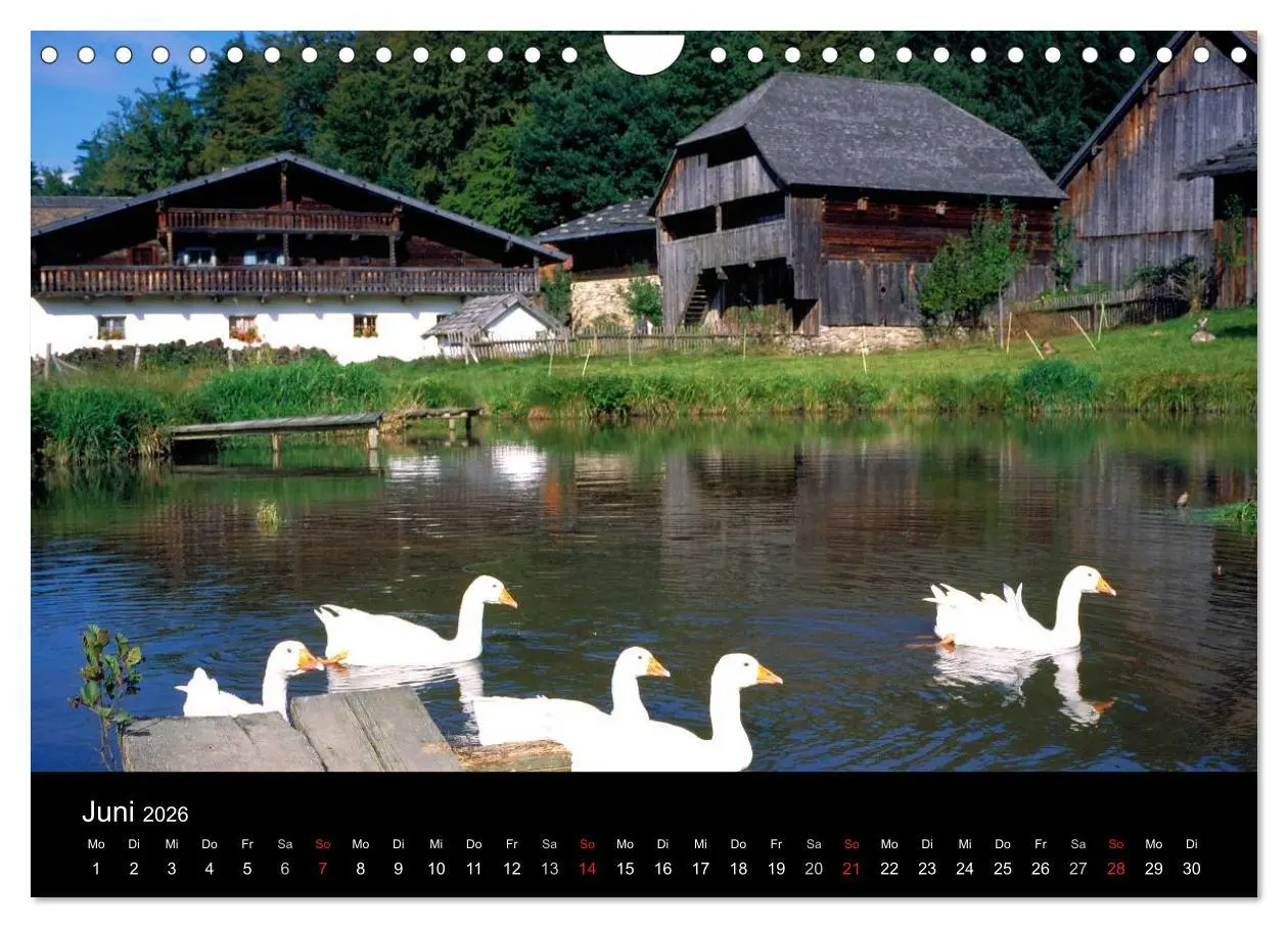 Bild: 9783516111118 | Bayerischer Wald (Wandkalender 2026 DIN A4 quer), CALVENDO...