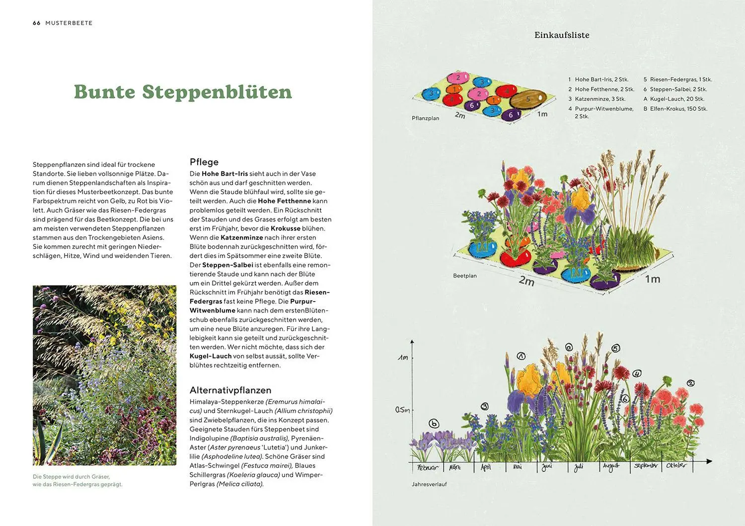Bild: 9783440181218 | Hitzekünstler | Beete, die du wenig gießen musst | Iris Winkenbach