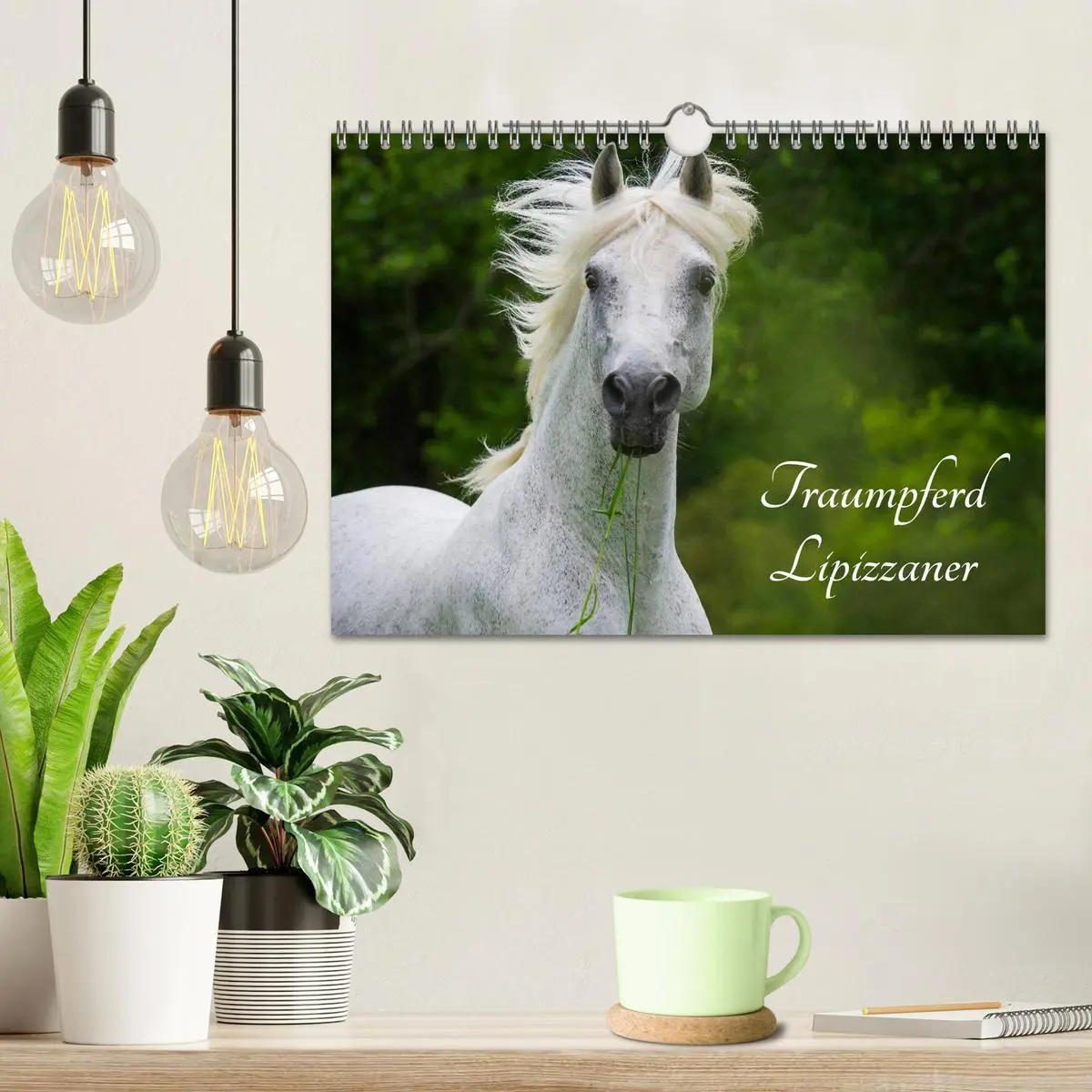 Bild: 9783516031218 | Traumpferd Lipizzaner (Wandkalender 2026 DIN A4 quer), CALVENDO...