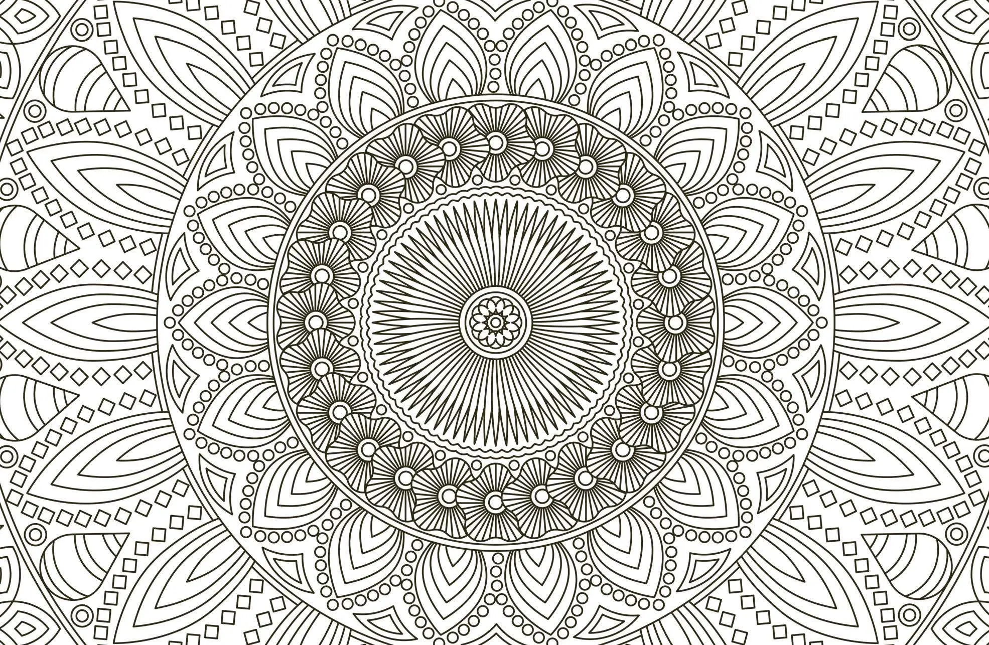 Bild: 9783790101218 | 50 cozy Karten zum Ausmalen - Relaxen mit Mandalas | Box | 50 S.