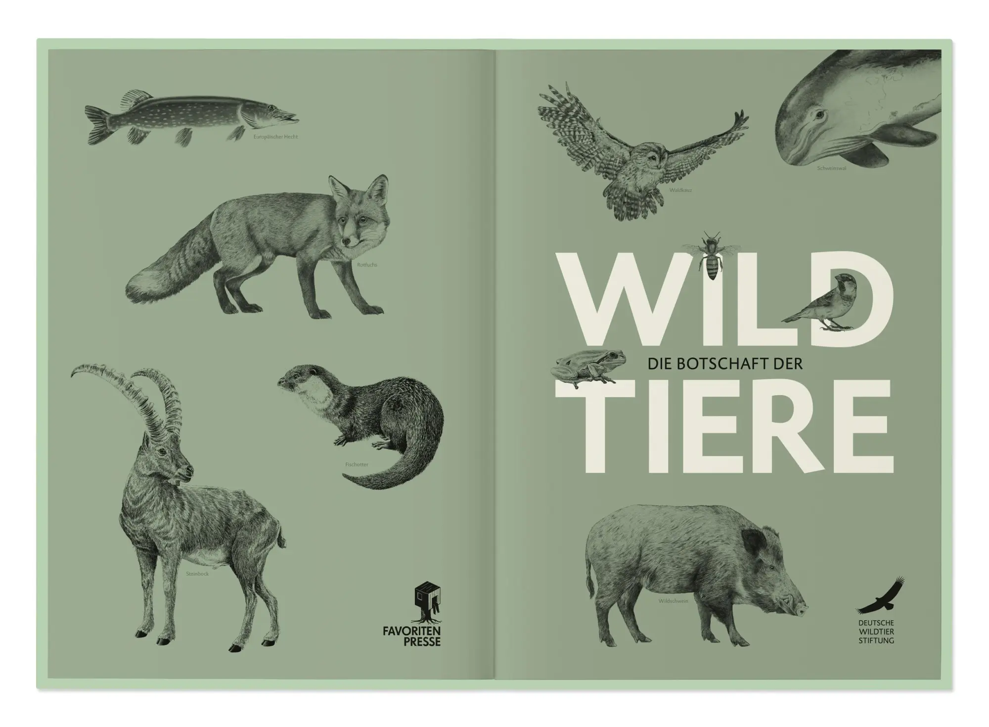 Bild: 9783968491318 | Die Botschaft der Wildtiere | Deutsche Wildtier Stiftung | Taschenbuch