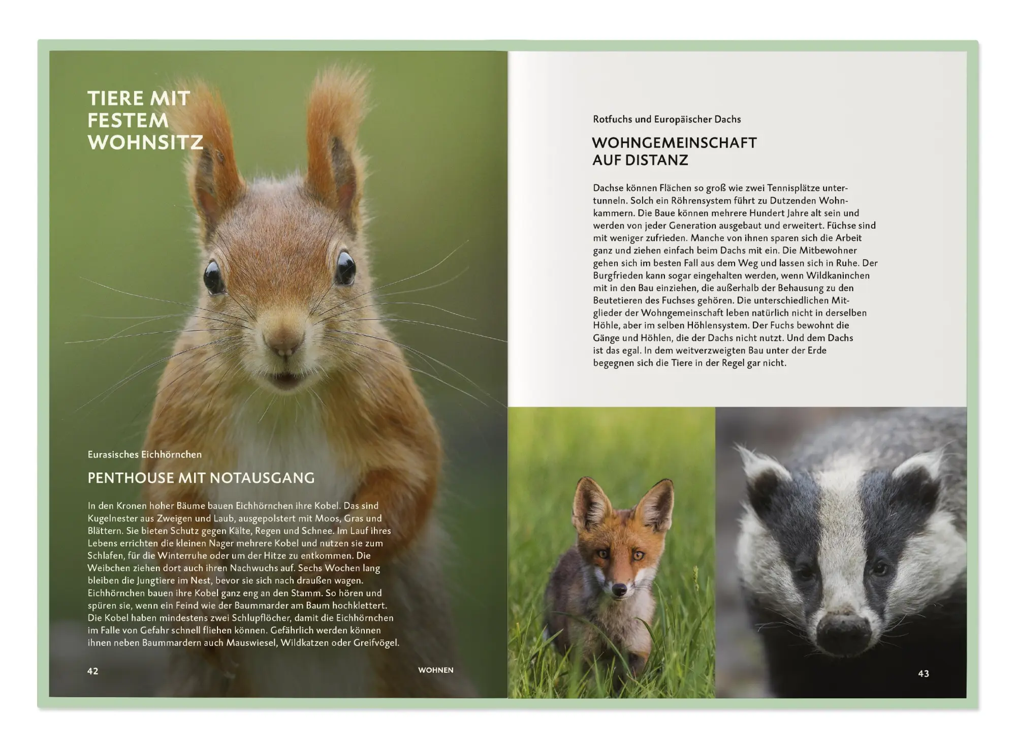 Bild: 9783968491318 | Die Botschaft der Wildtiere | Deutsche Wildtier Stiftung | Taschenbuch