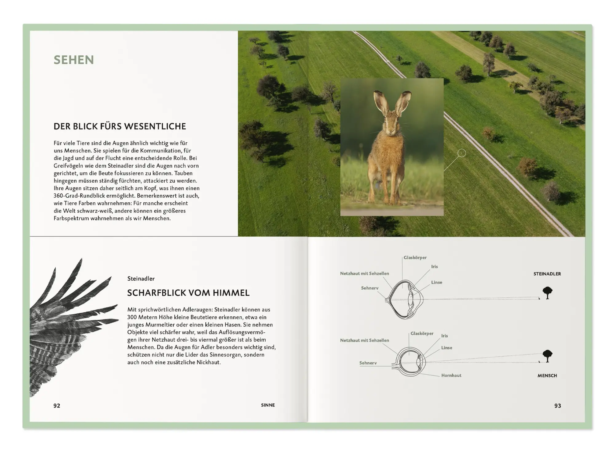 Bild: 9783968491318 | Die Botschaft der Wildtiere | Deutsche Wildtier Stiftung | Taschenbuch