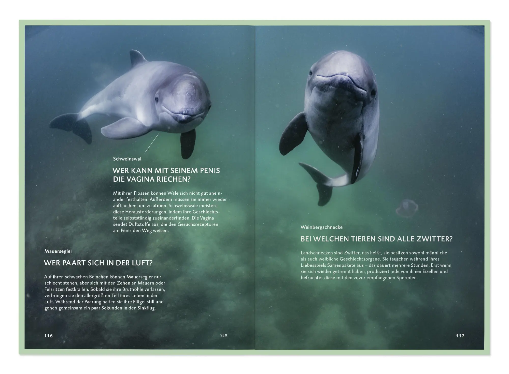 Bild: 9783968491318 | Die Botschaft der Wildtiere | Deutsche Wildtier Stiftung | Taschenbuch