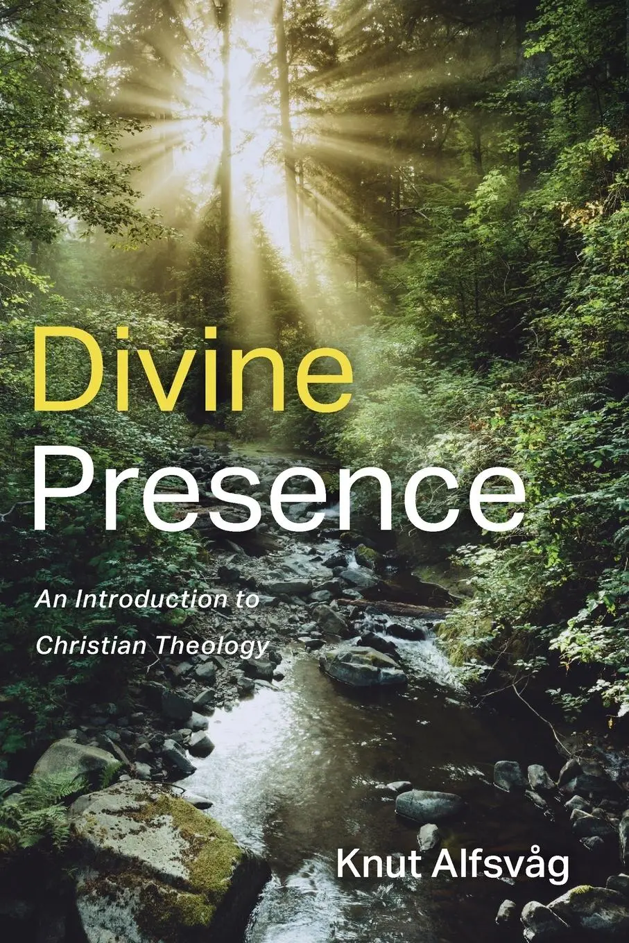 Cover: 9781666701418 | Divine Presence | Knut Alfsvag | Taschenbuch | Kartoniert / Broschiert