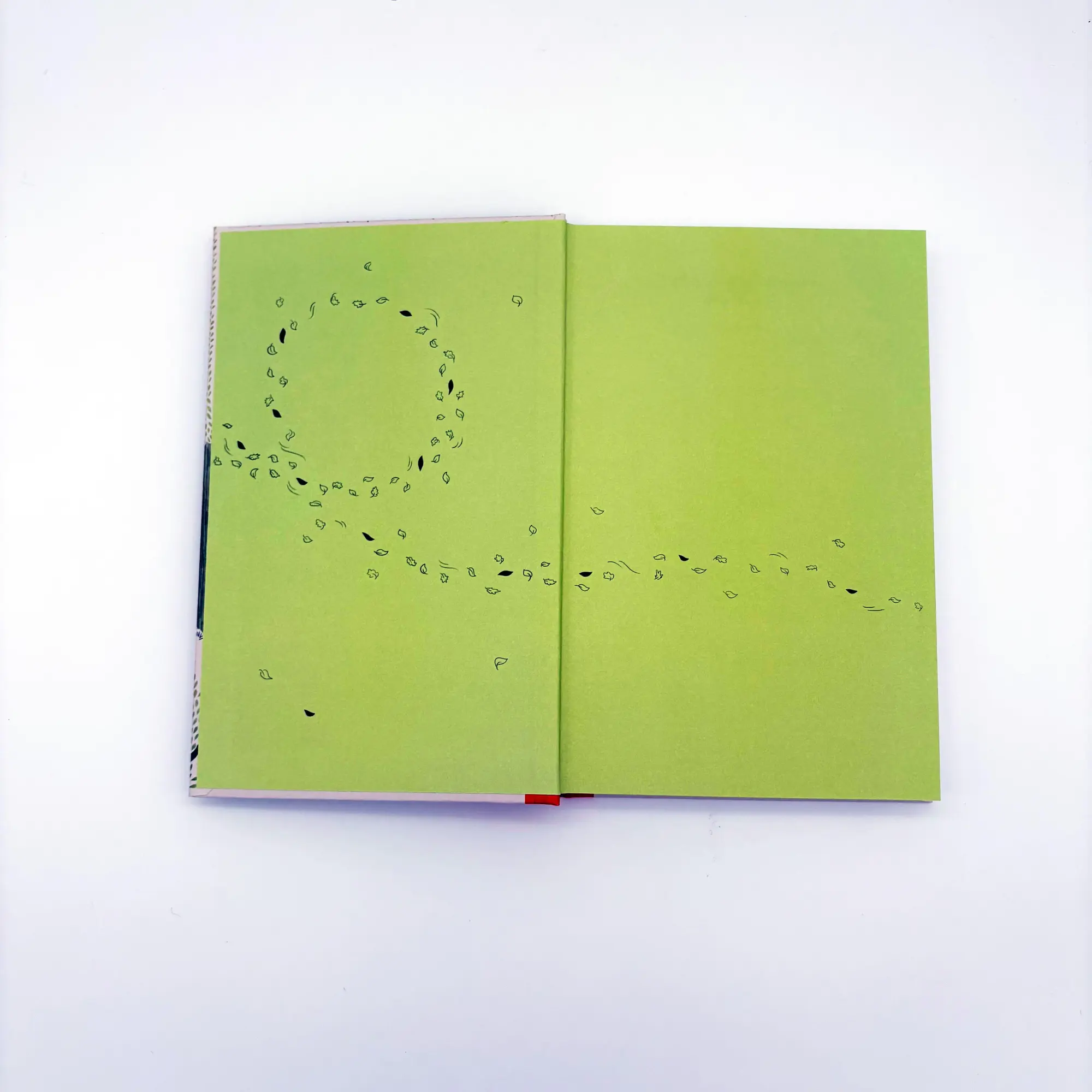 Bild: 9783423641418 | Blätterlachen | Una López-Caparrós Jungmann | Buch | 224 S. | Deutsch