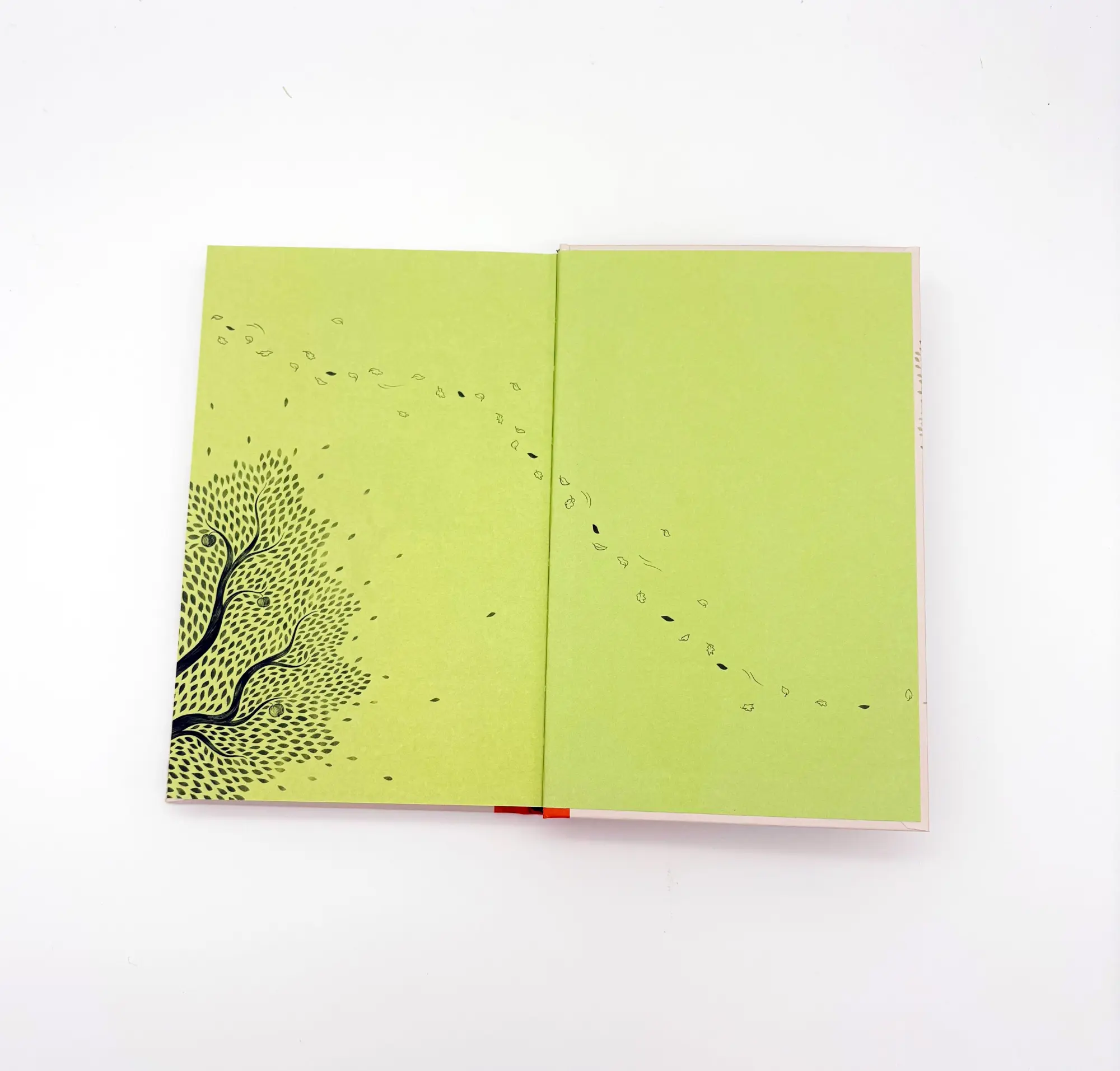 Bild: 9783423641418 | Blätterlachen | Una López-Caparrós Jungmann | Buch | 224 S. | Deutsch