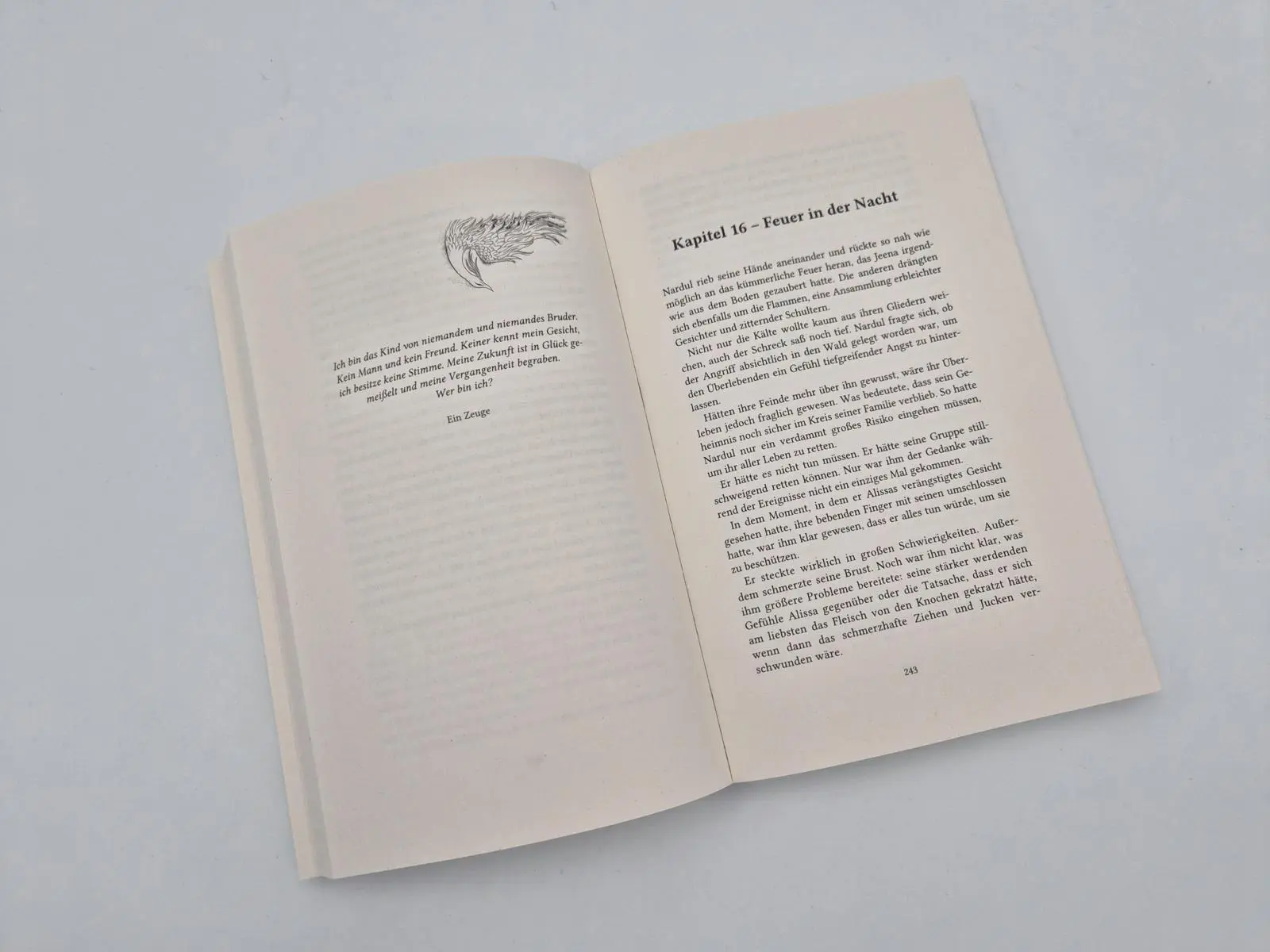 Bild: 9783492711418 | Phönixkrone | S. L. Crest | Taschenbuch | 448 S. | Deutsch | 2026