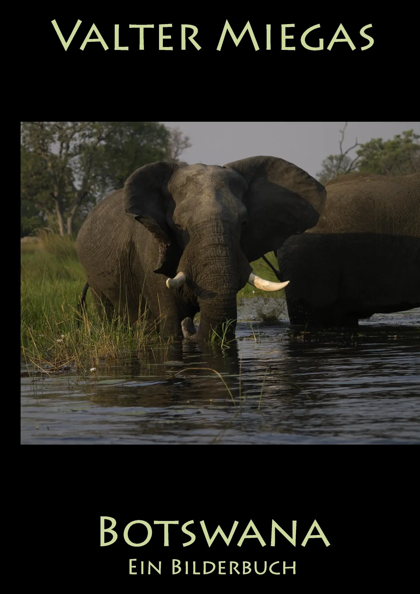 Cover: 9783839161418 | Botswana | Ein Bilderbuch | Valter Miegas | Buch | 100 S. | Deutsch