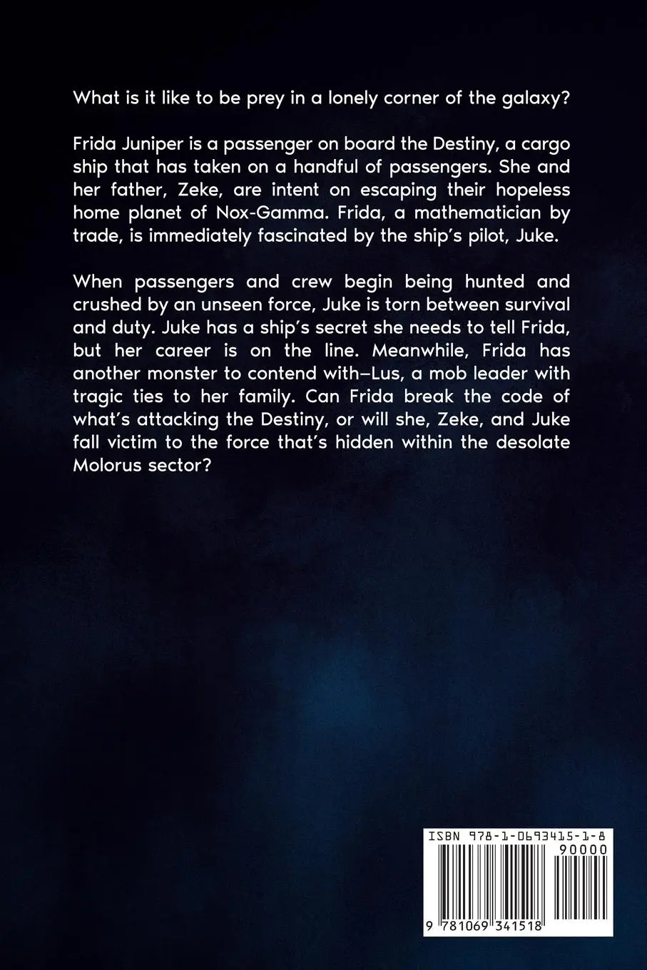 Rückseite: 9781069341518 | n-Space | Thea Gregory | Taschenbuch | Englisch | 2025 | Thea Gregory
