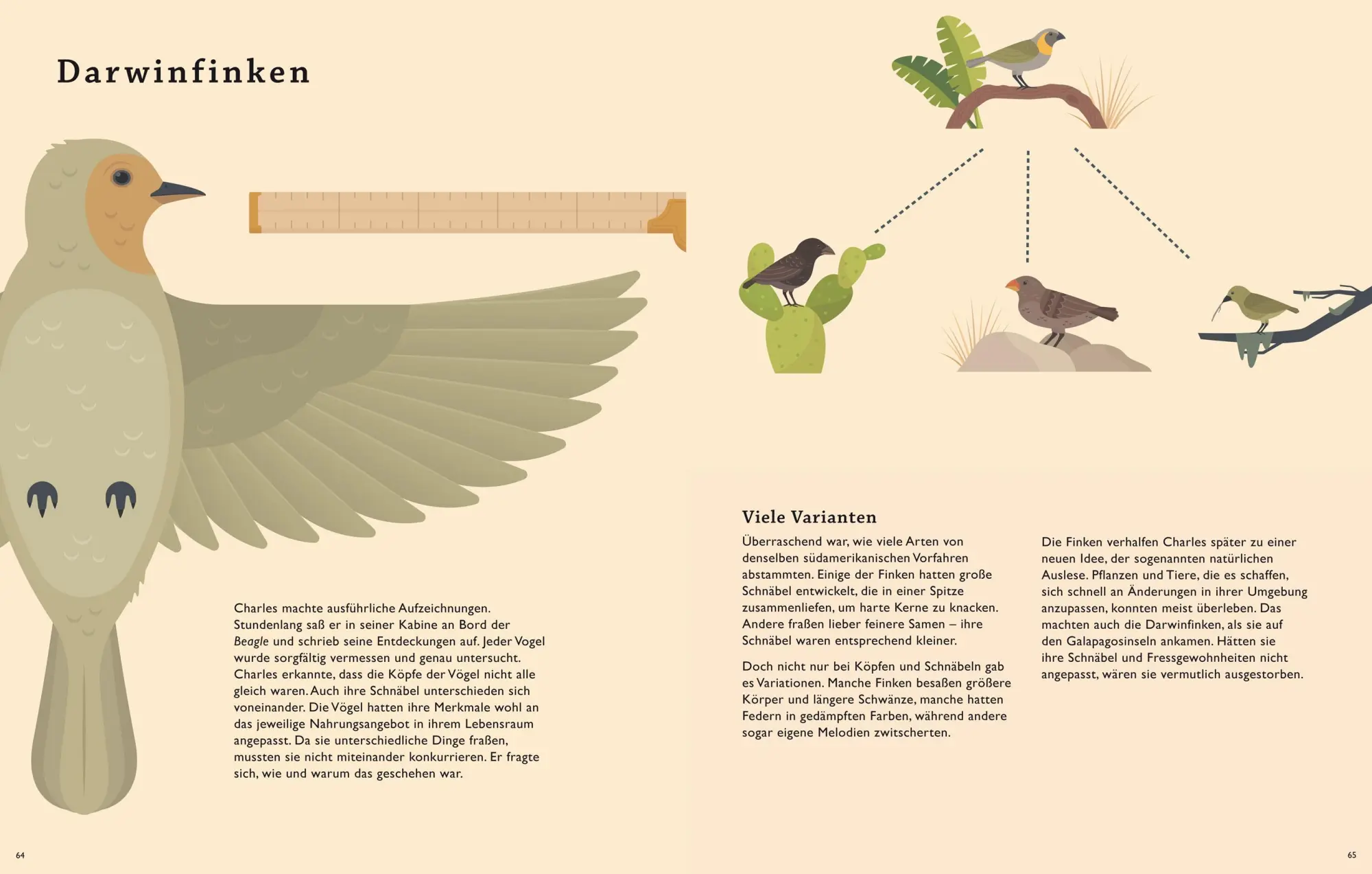 Bild: 9783038761518 | Darwins große Reise | Die Entdeckung der Natur | Jake Williams | Buch