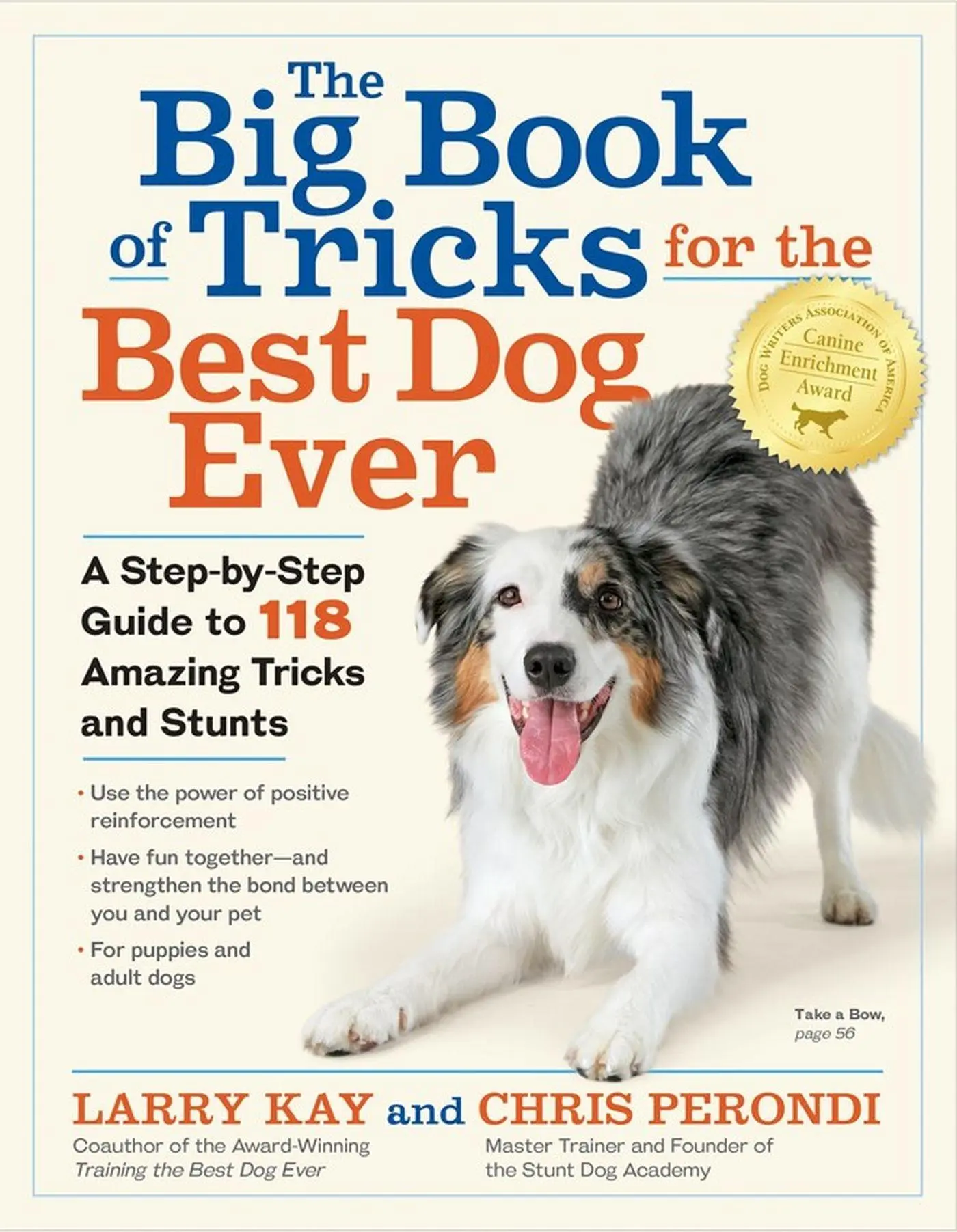 Cover: 9781523501618 | The Big Book of Tricks for the Best Dog Ever | Larry Kay (u. a.)
