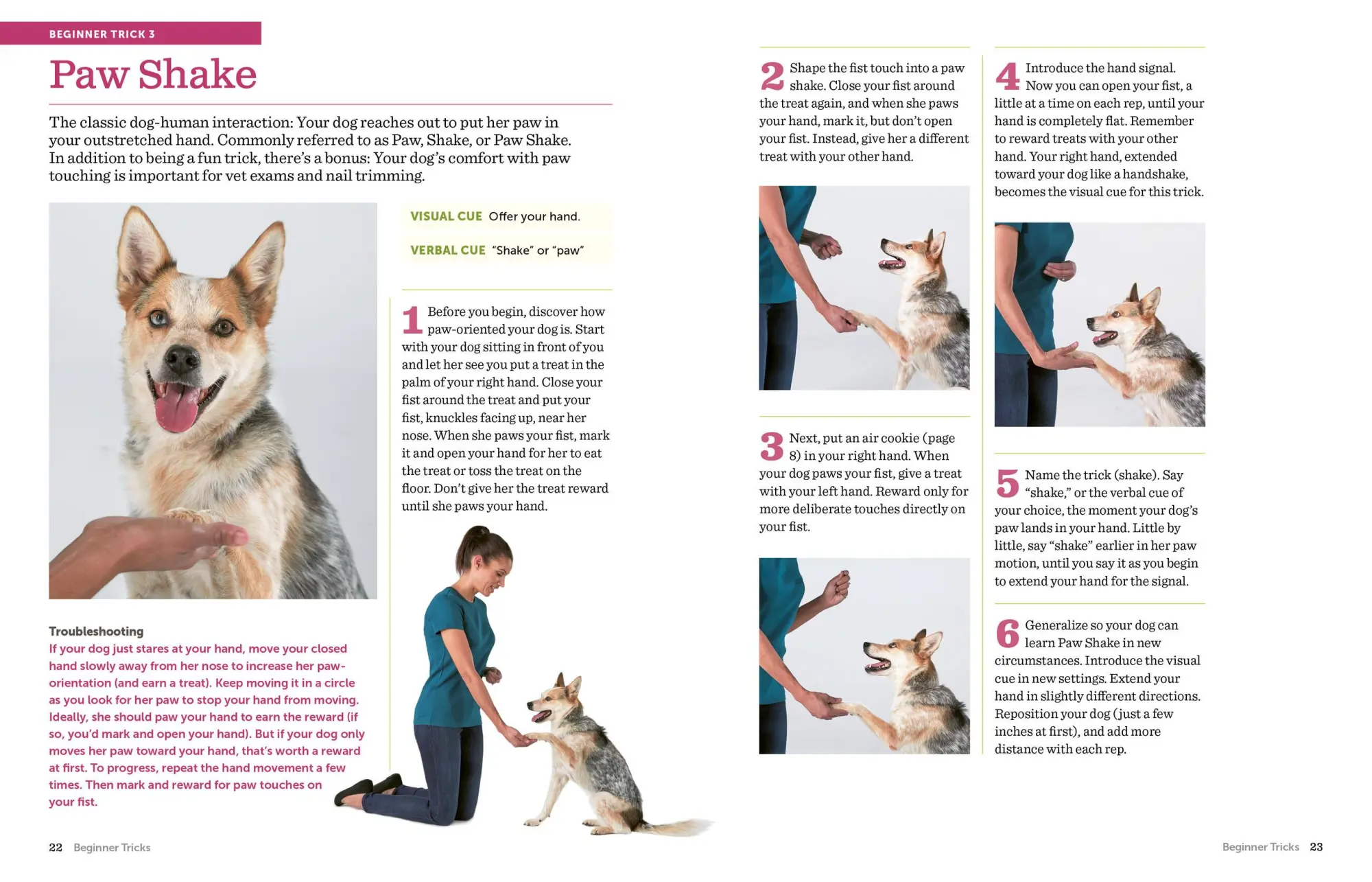 Bild: 9781523501618 | The Big Book of Tricks for the Best Dog Ever | Larry Kay (u. a.)