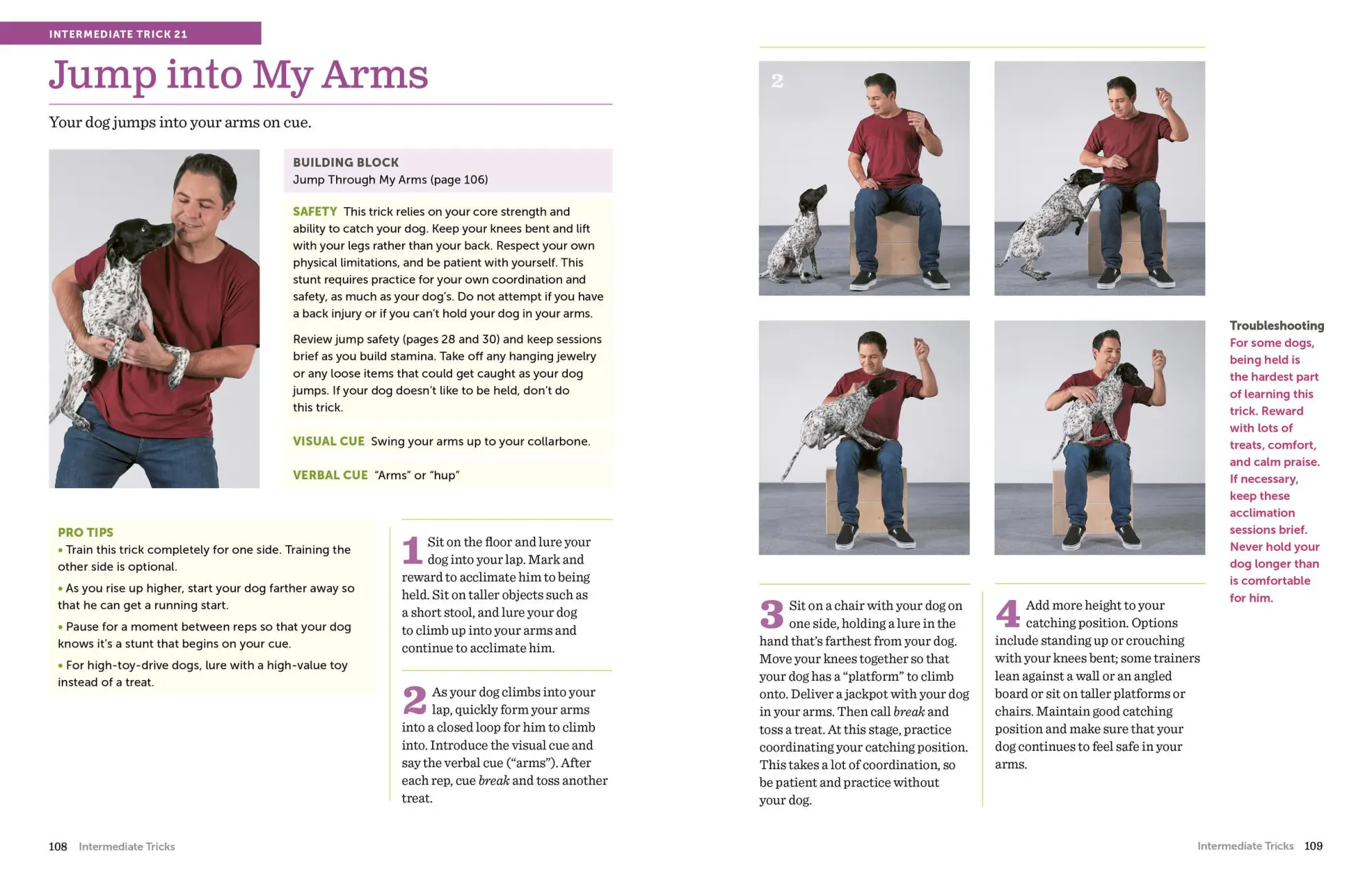 Bild: 9781523501618 | The Big Book of Tricks for the Best Dog Ever | Larry Kay (u. a.)