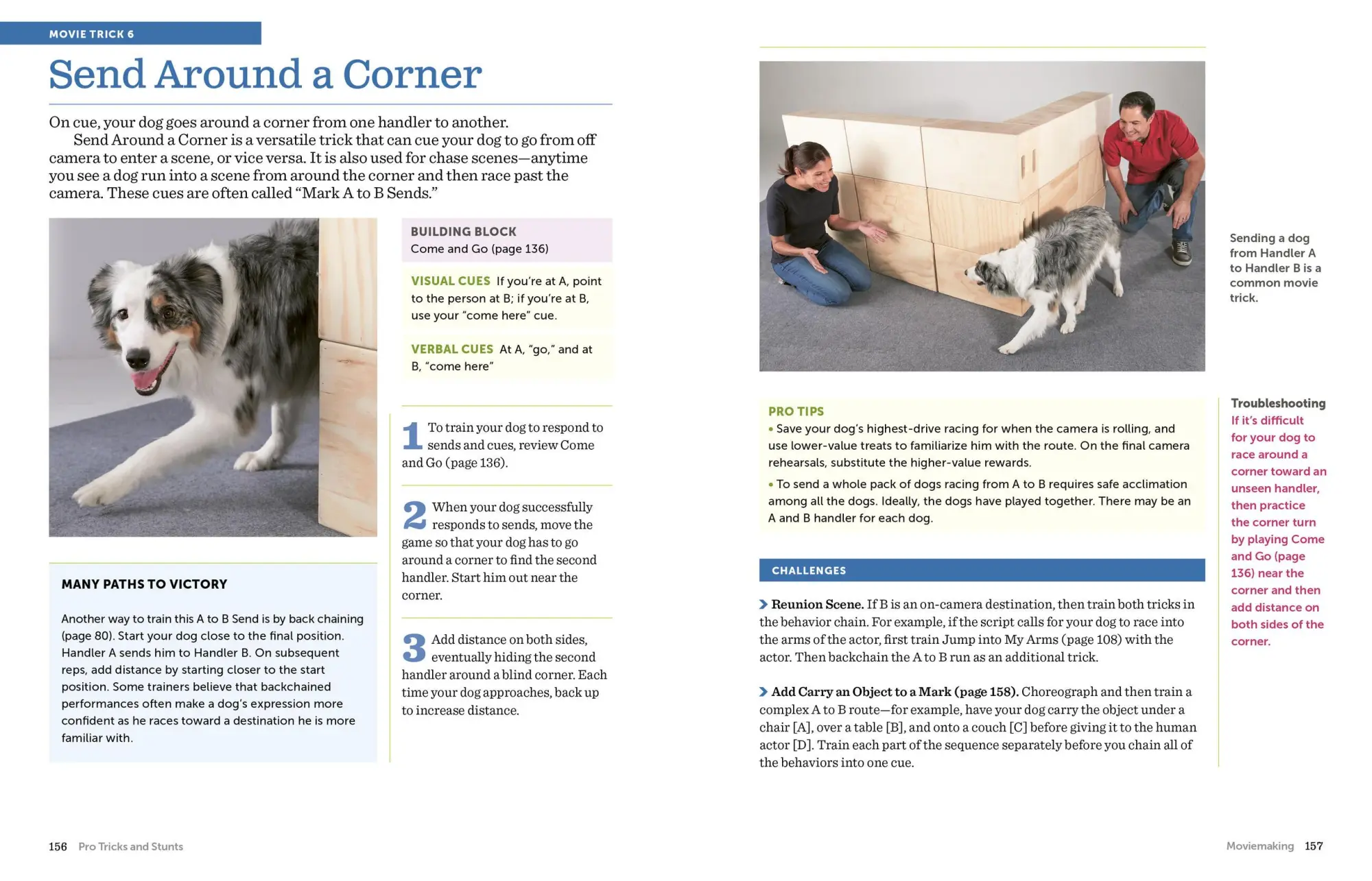 Bild: 9781523501618 | The Big Book of Tricks for the Best Dog Ever | Larry Kay (u. a.)