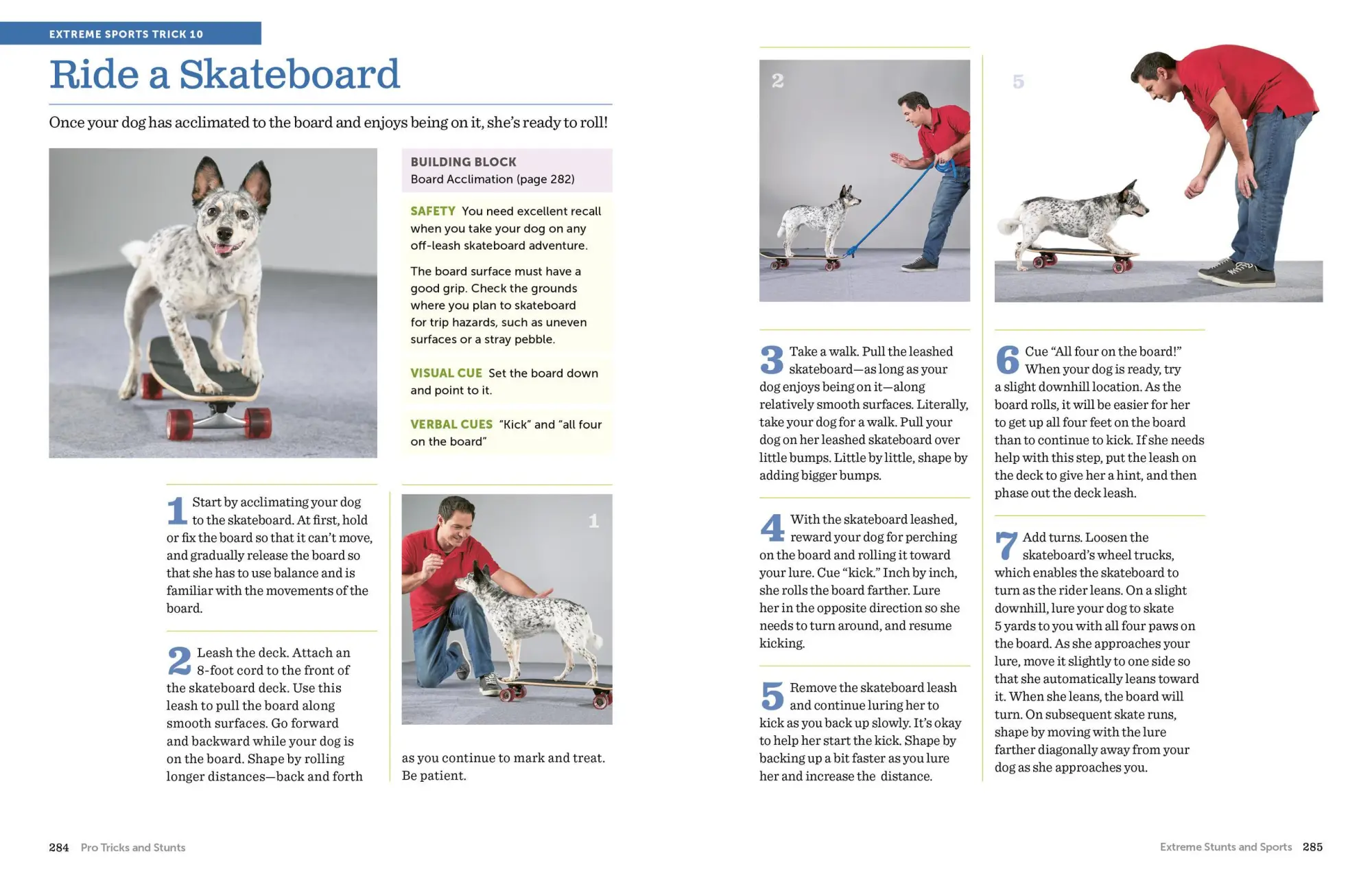 Bild: 9781523501618 | The Big Book of Tricks for the Best Dog Ever | Larry Kay (u. a.)
