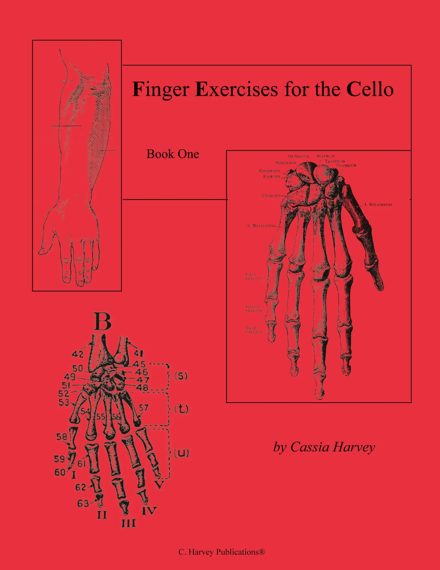 Cover: 9781635231618 | Finger Exercises for the Cello, Book One | Cassia Harvey | Taschenbuch
