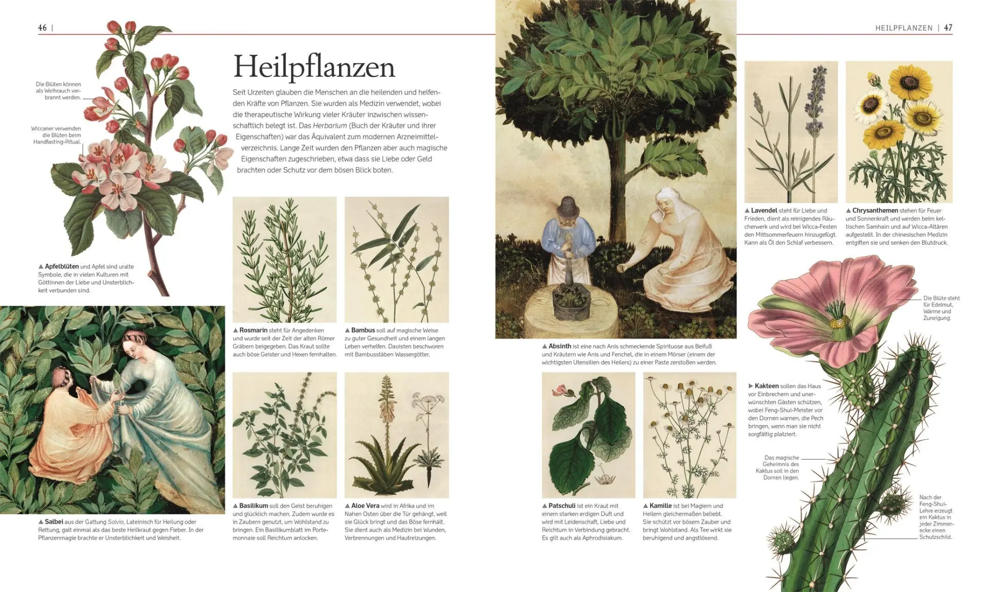 Bild: 9783831051618 | Die Geschichte von Magie, Hexerei &amp; Okkultem | Thomas Cussans (u. a.)